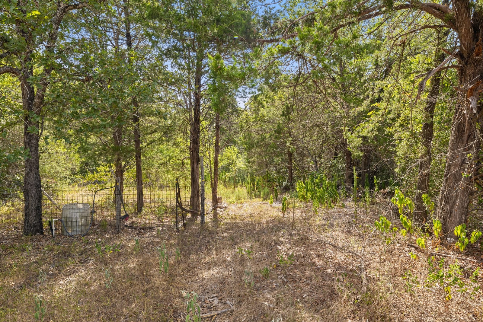 main property photo 28