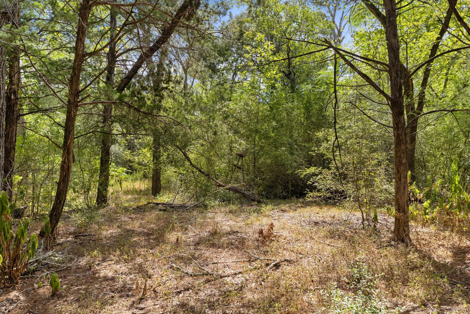 main property photo 31