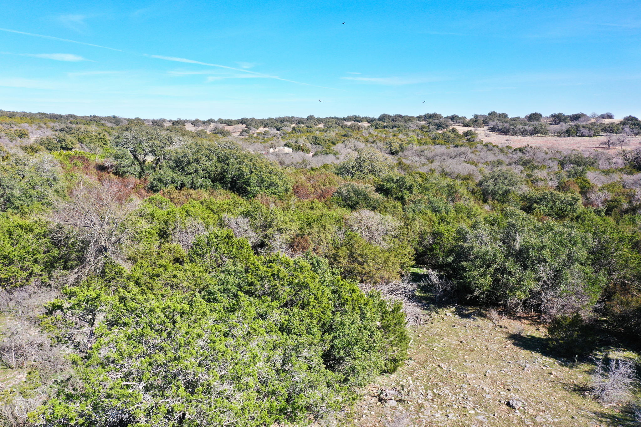 main property photo 13