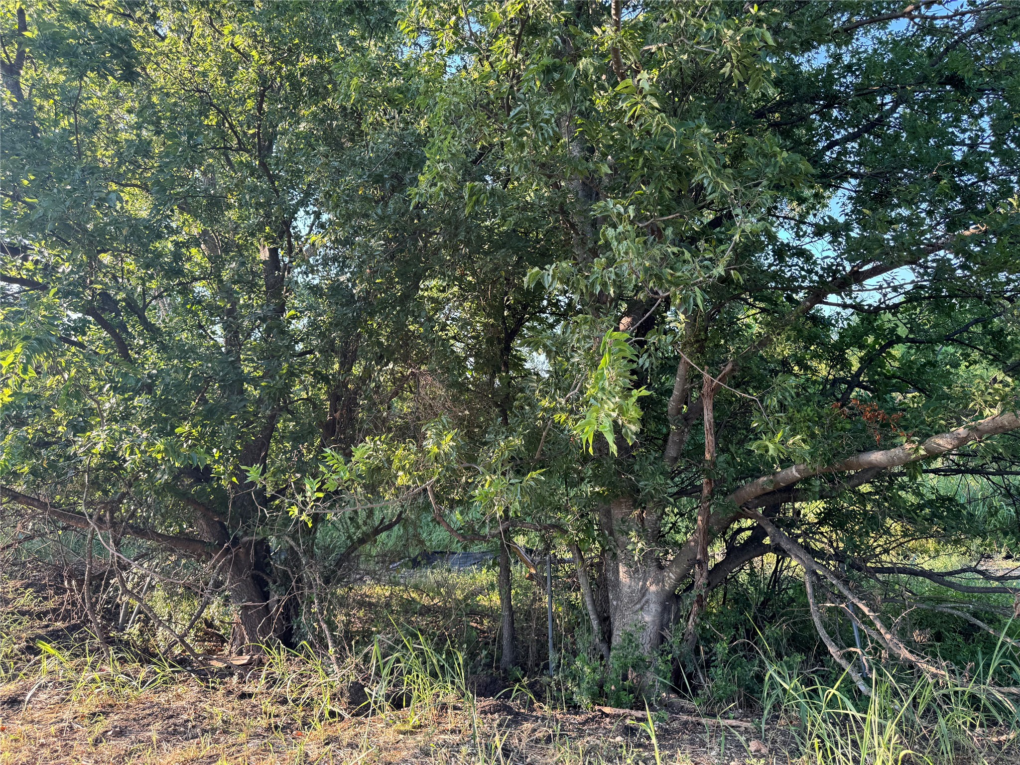 main property photo 10