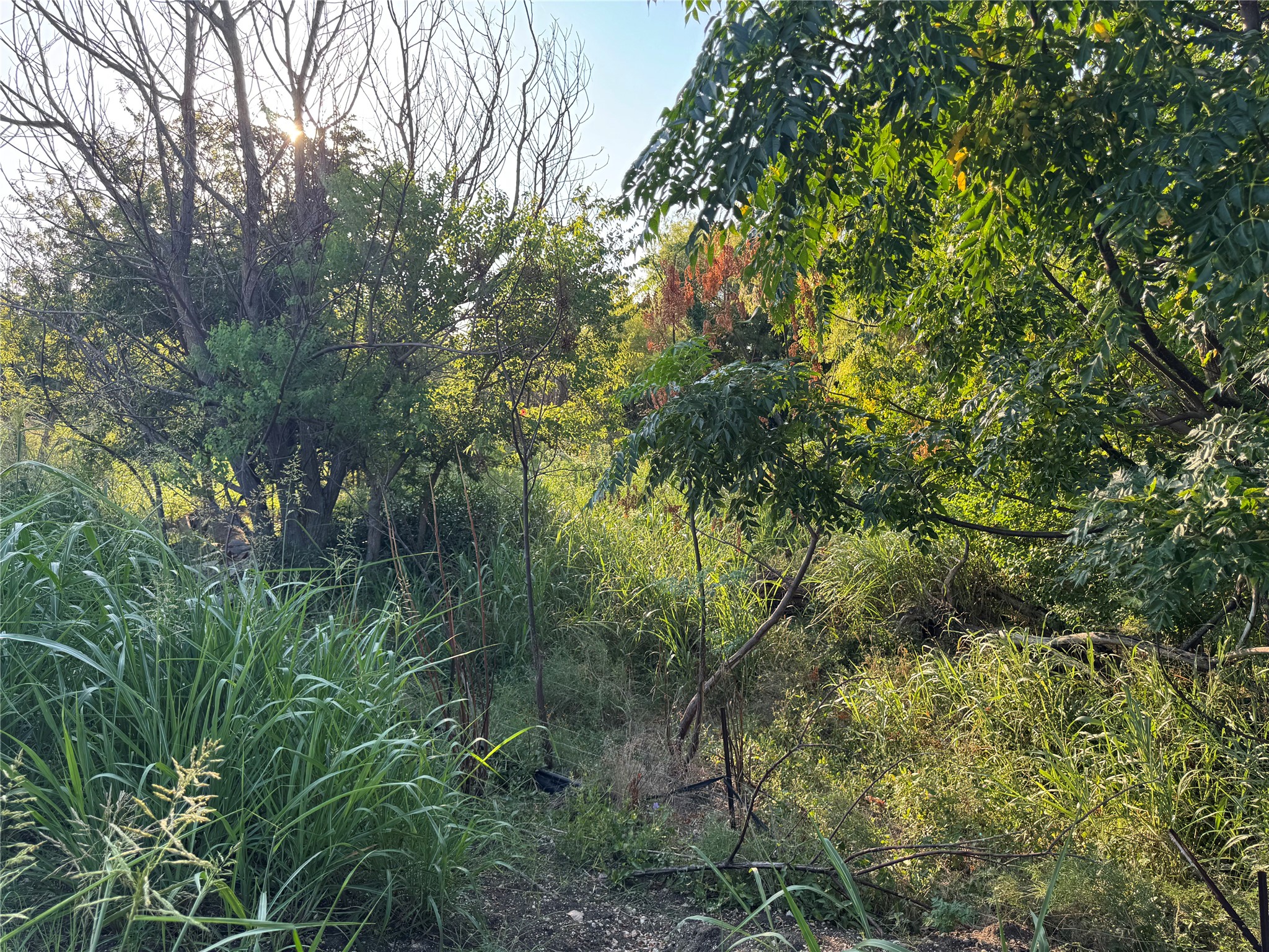 main property photo 13
