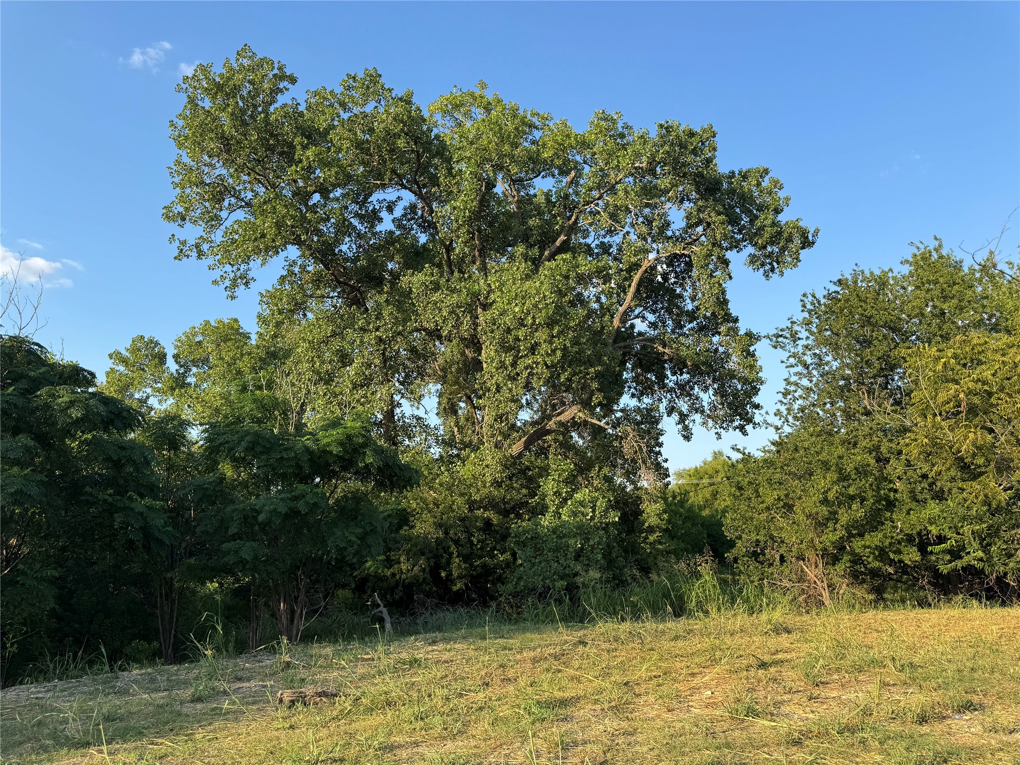 main property photo 14