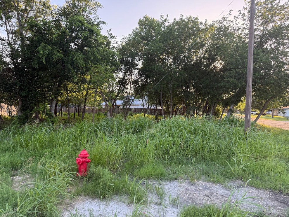 main property photo 7