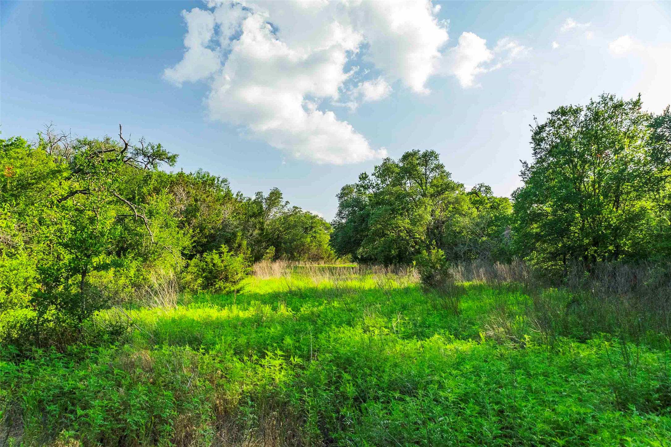 main property photo 17