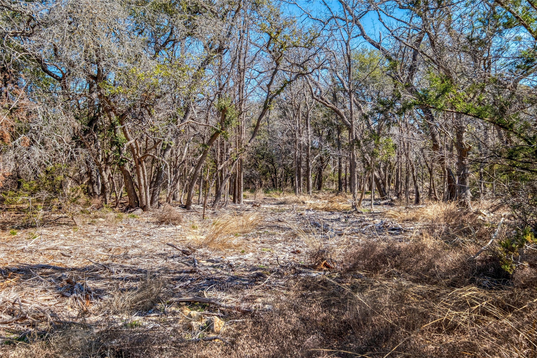 main property photo 10