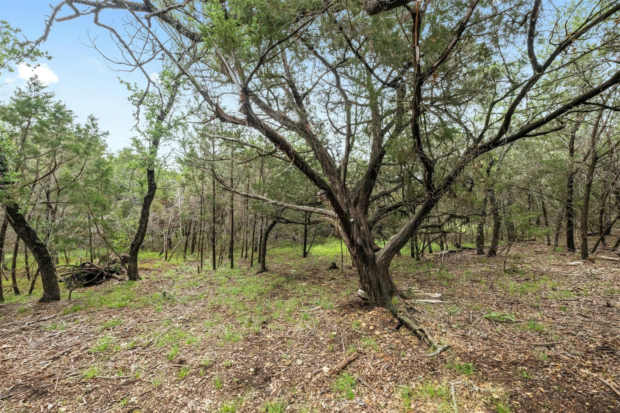 main property photo 10