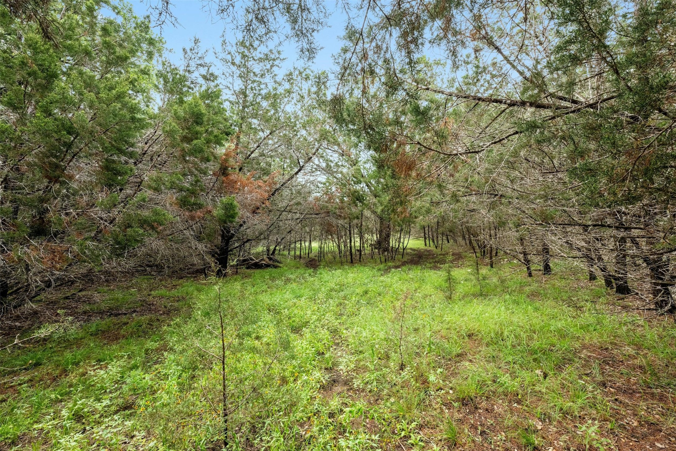 main property photo 11