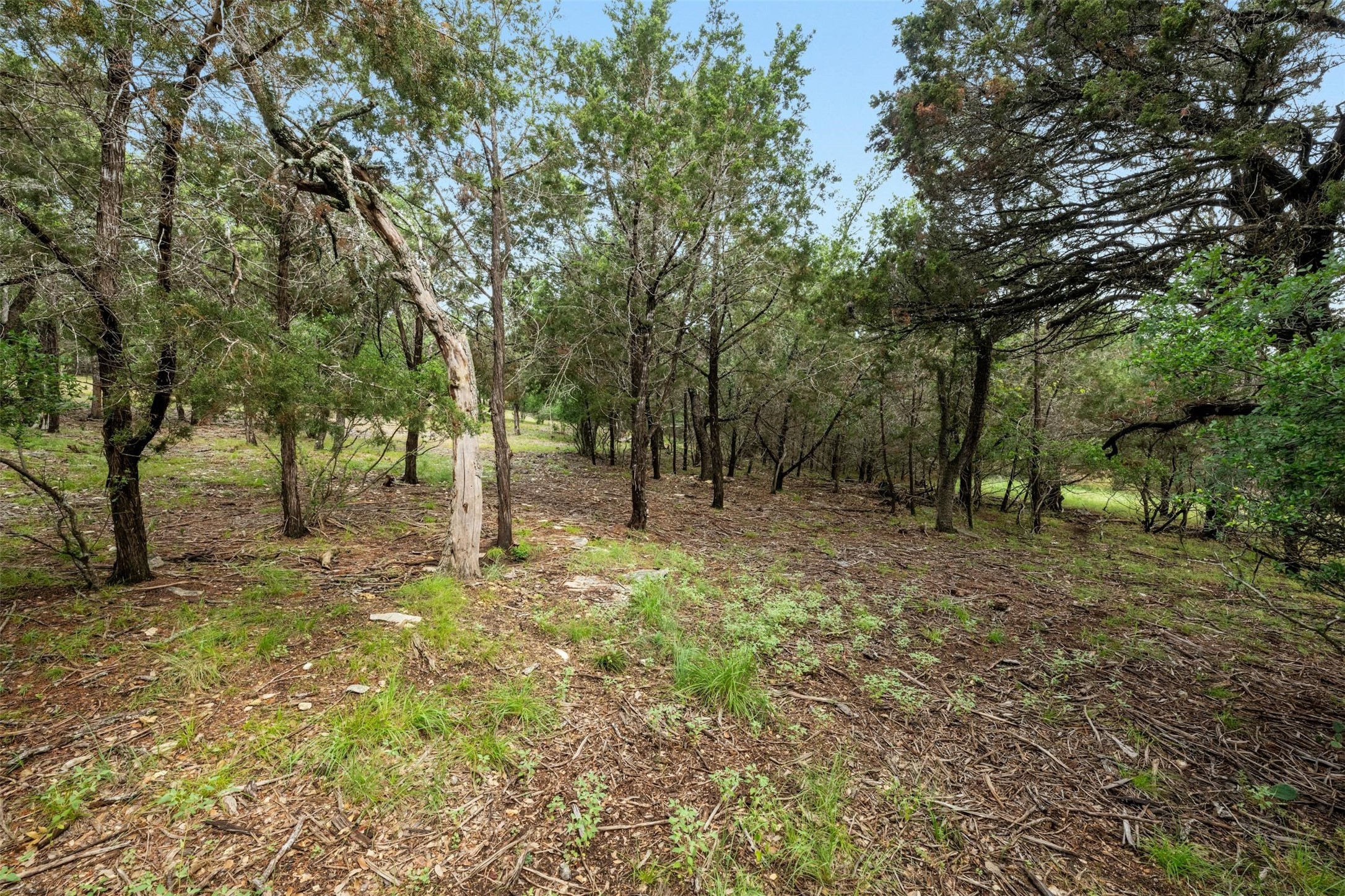 main property photo 17