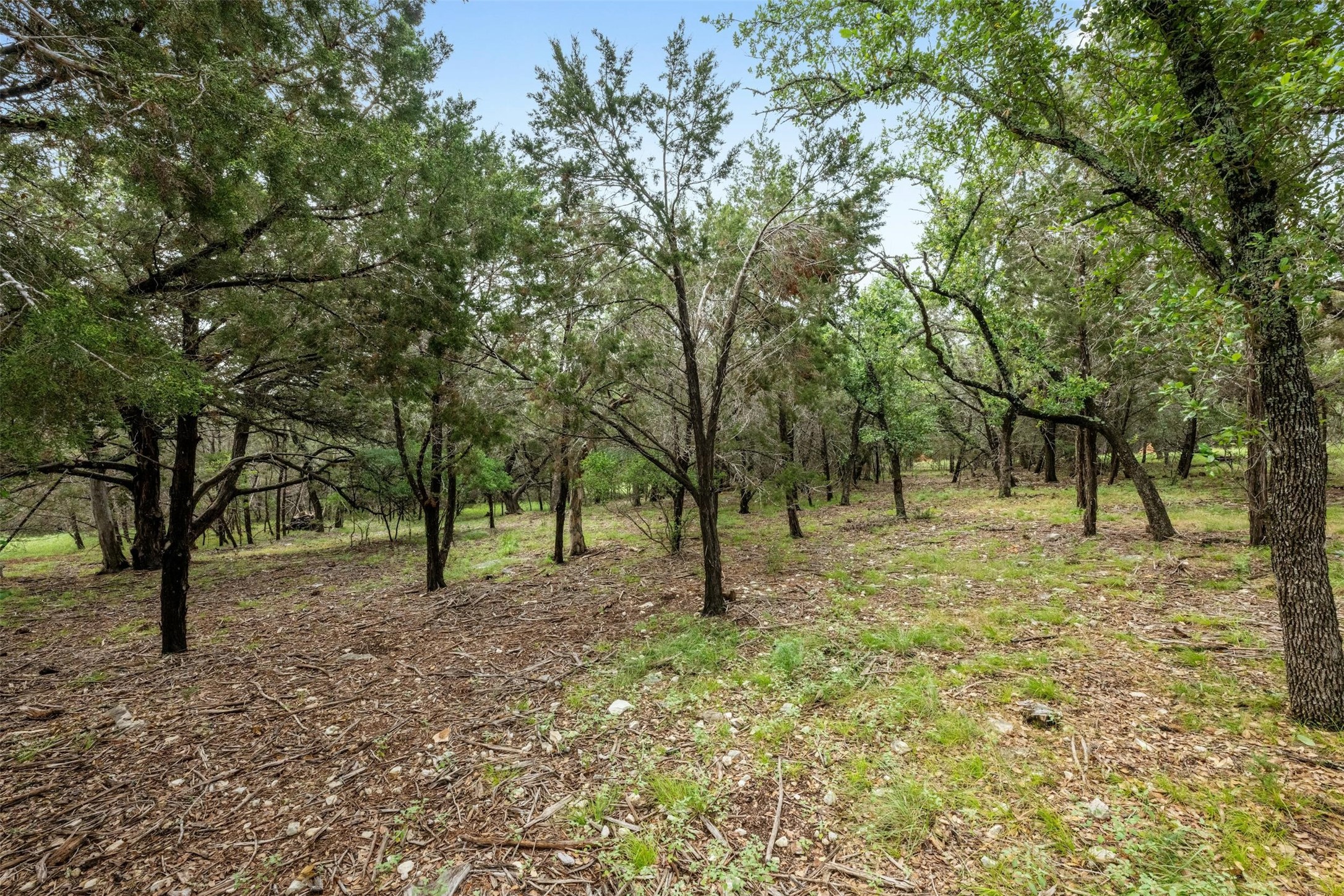 main property photo 8