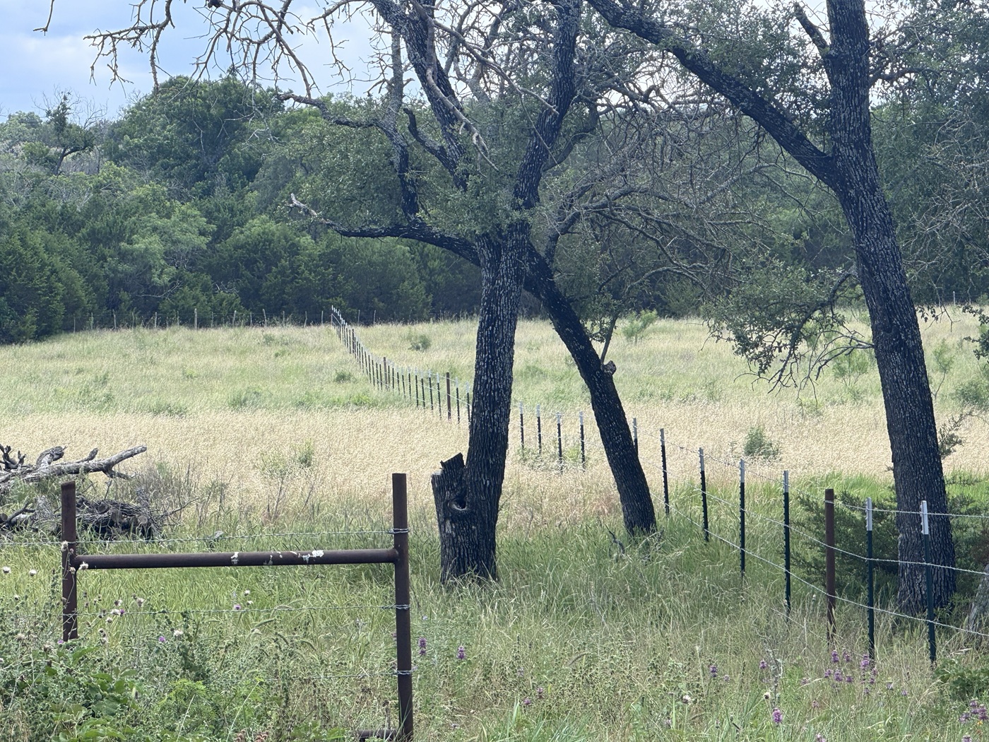 main property photo 10