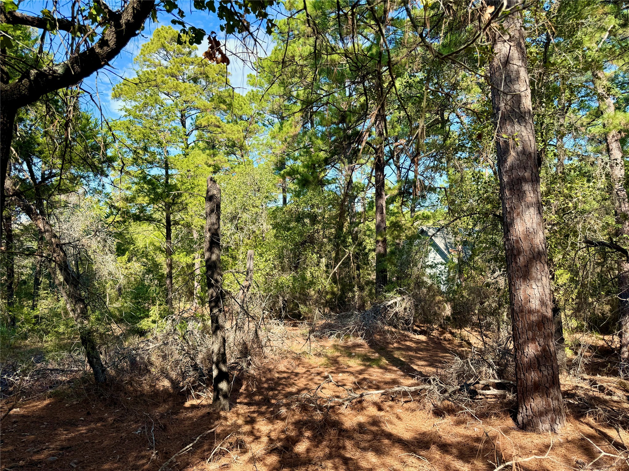 main property photo 13
