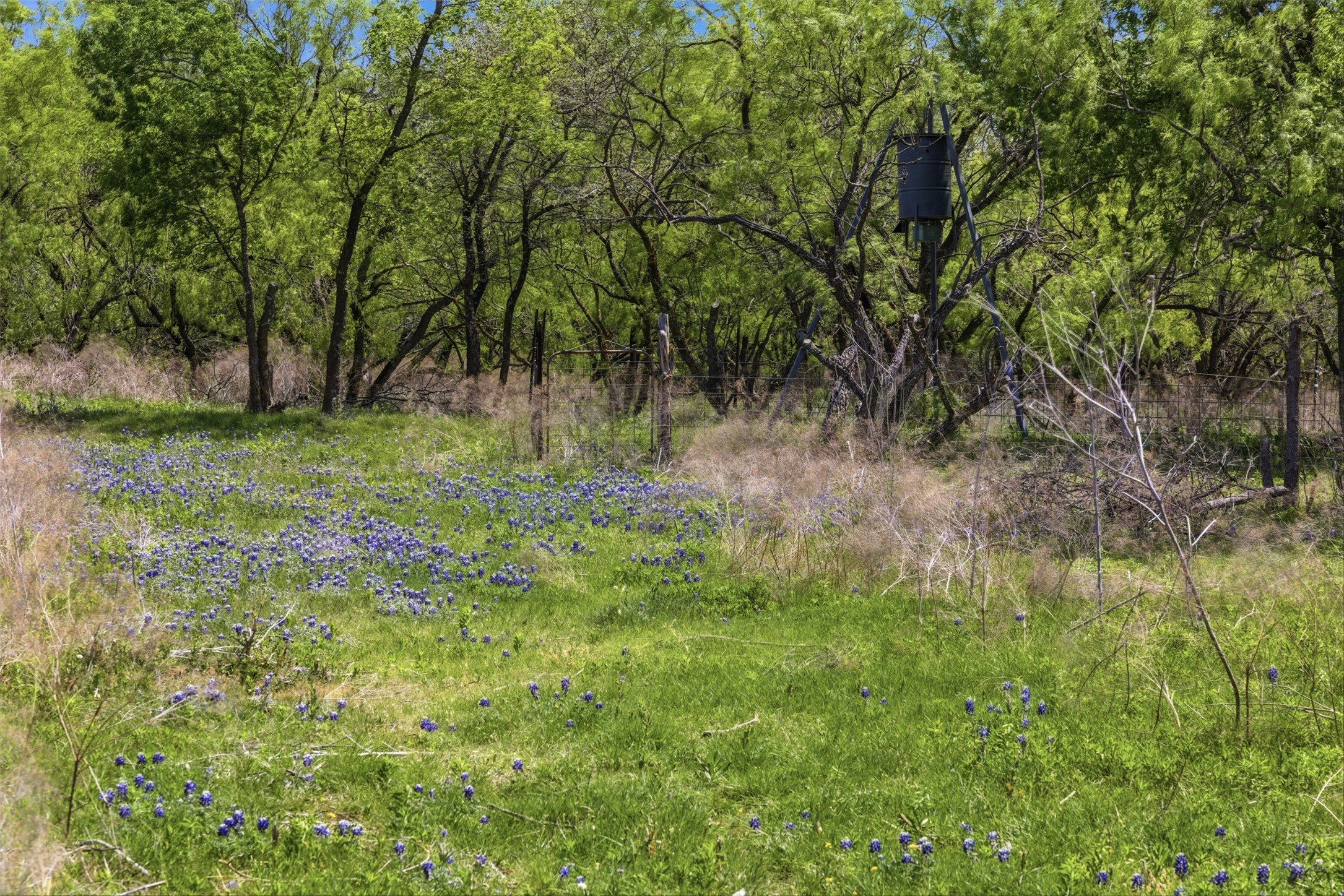 main property photo 27