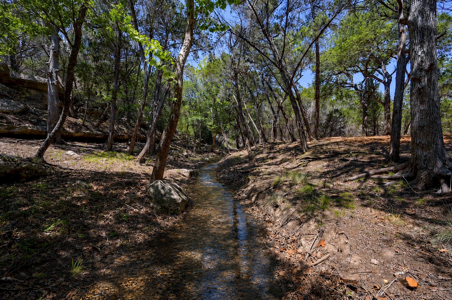 main property photo 14