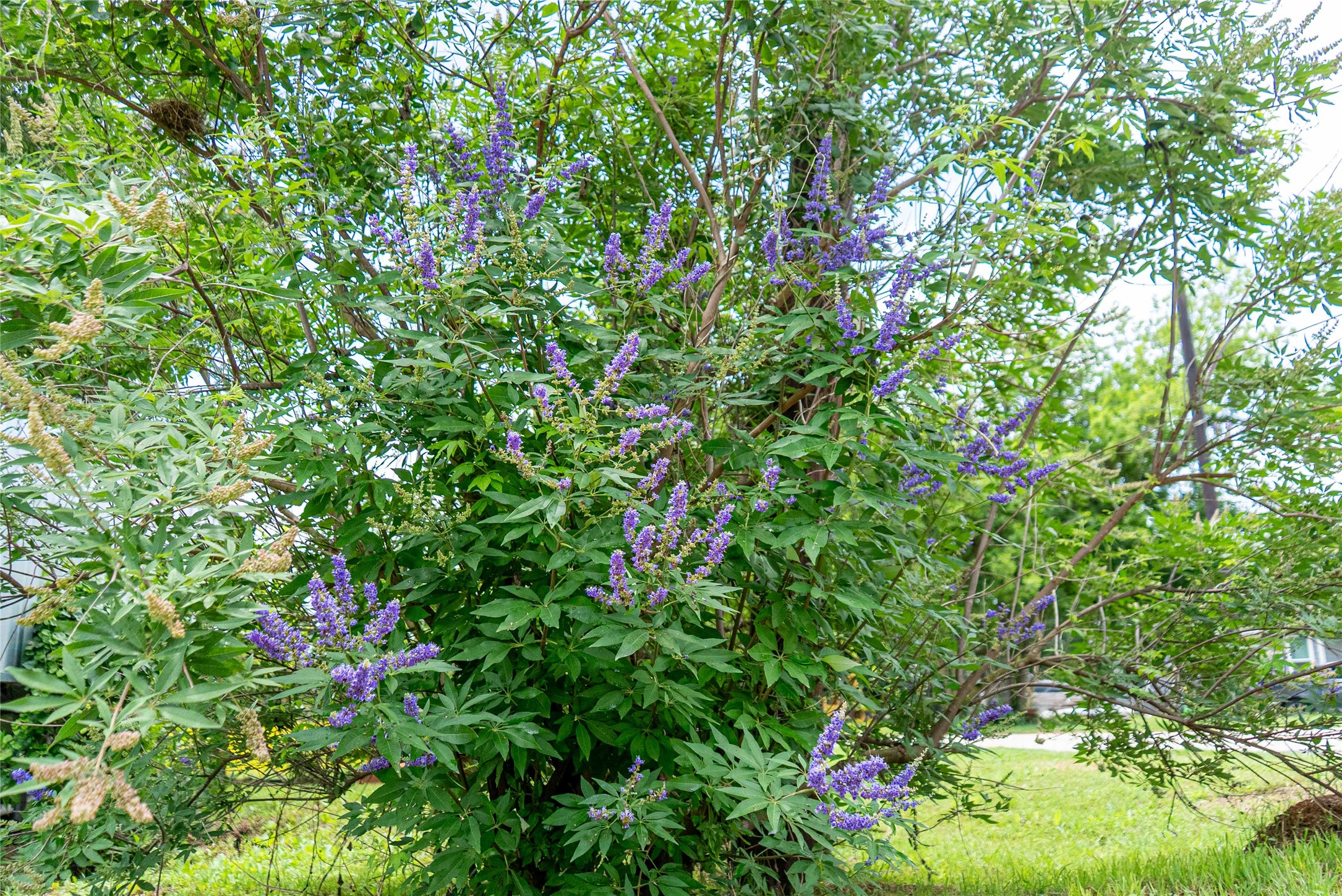 main property photo 21