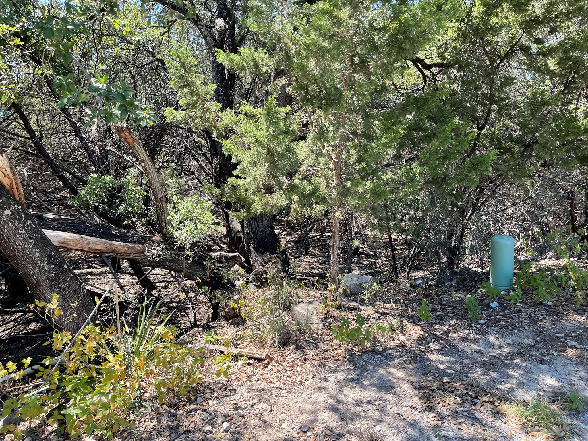 main property photo 6