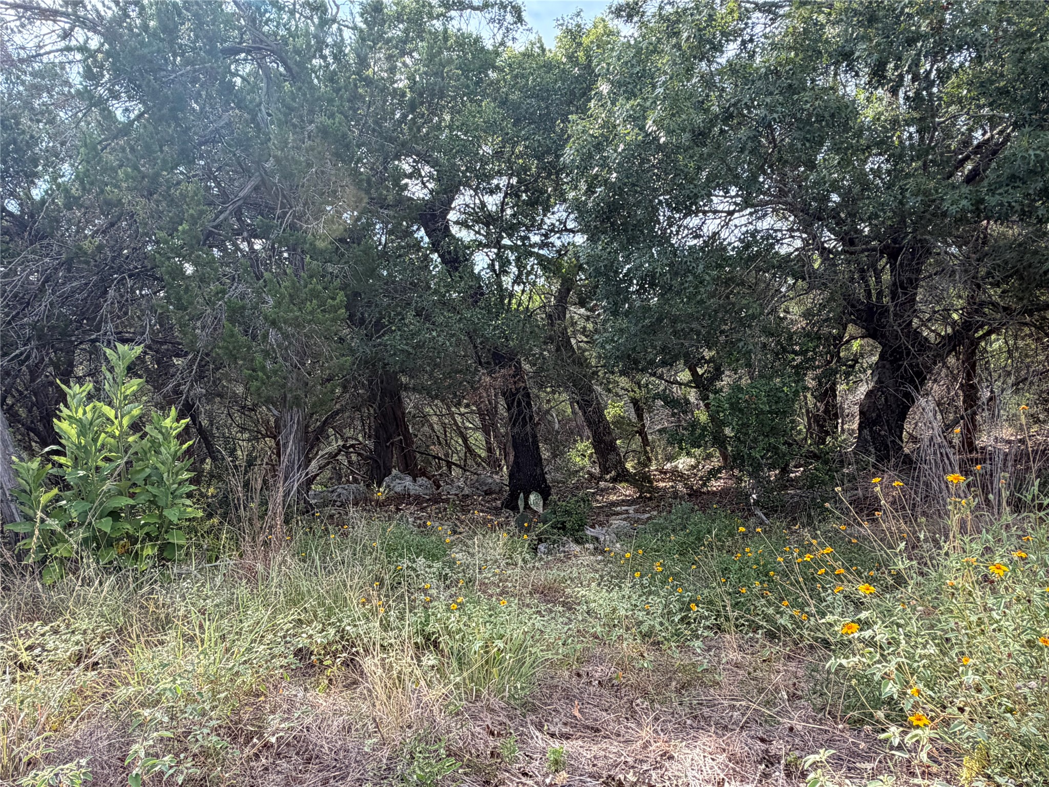 main property photo 18