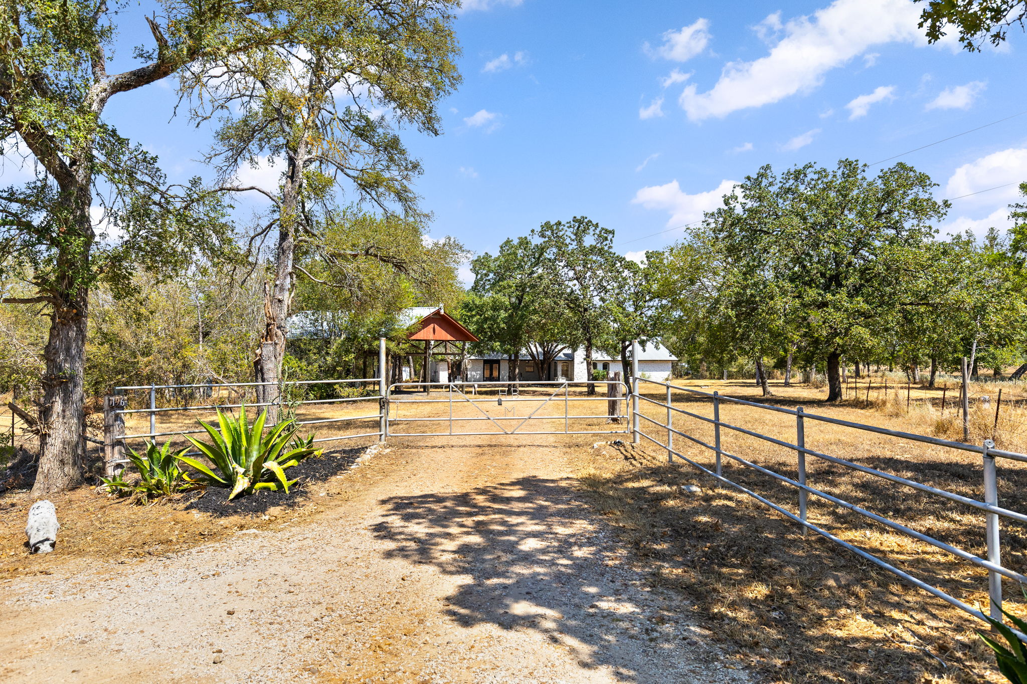 main property photo 29