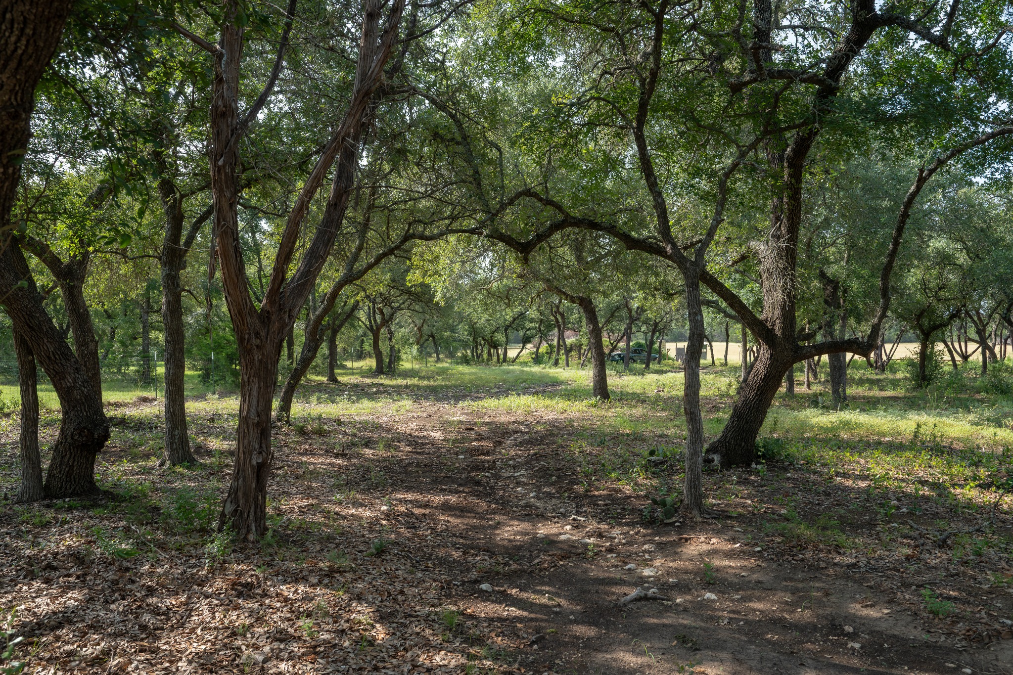 main property photo 29