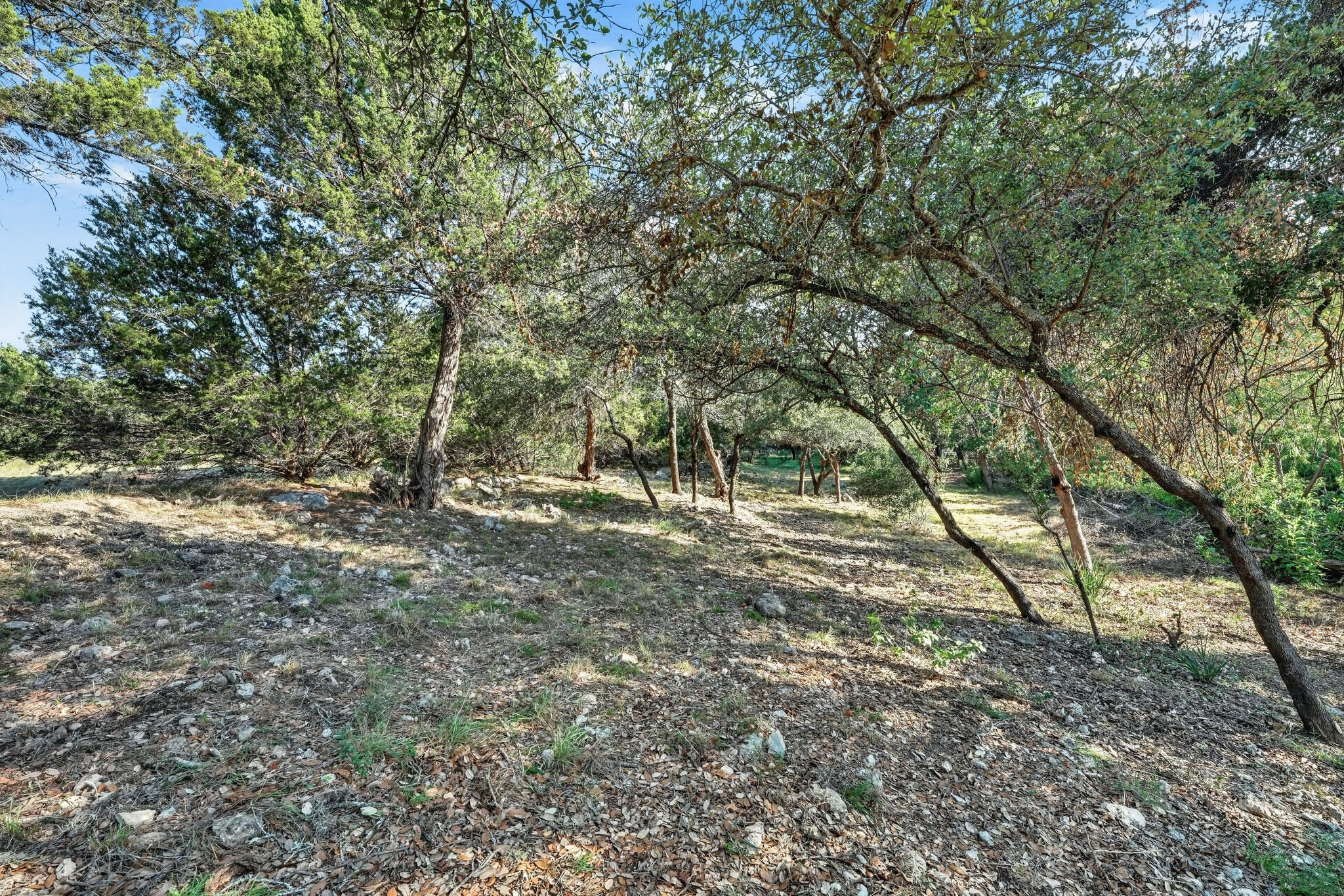 main property photo 20