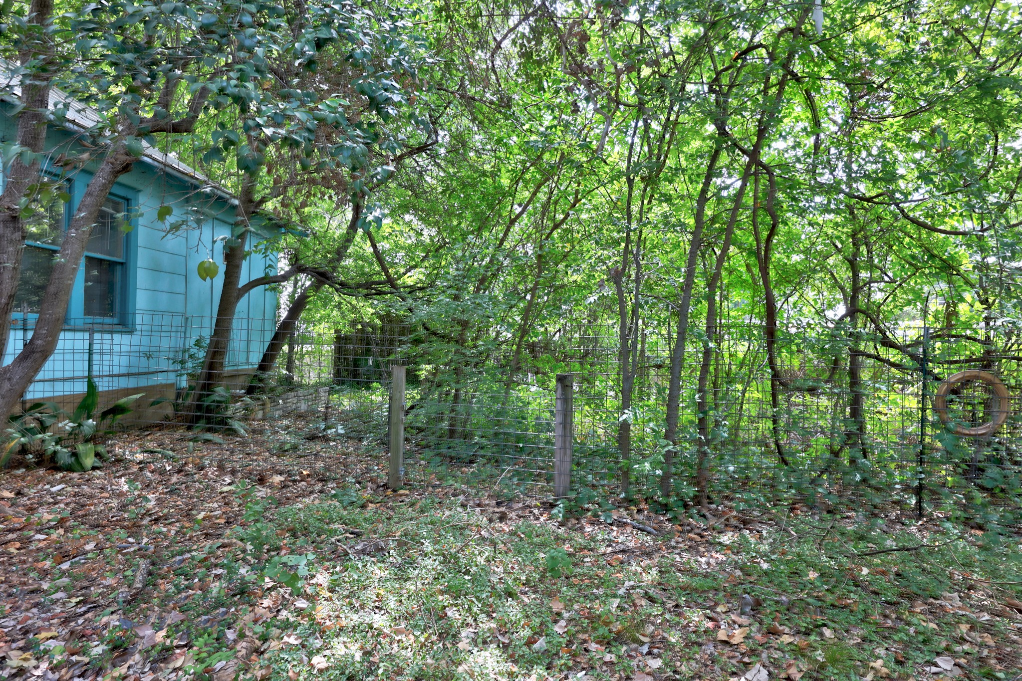 main property photo 22