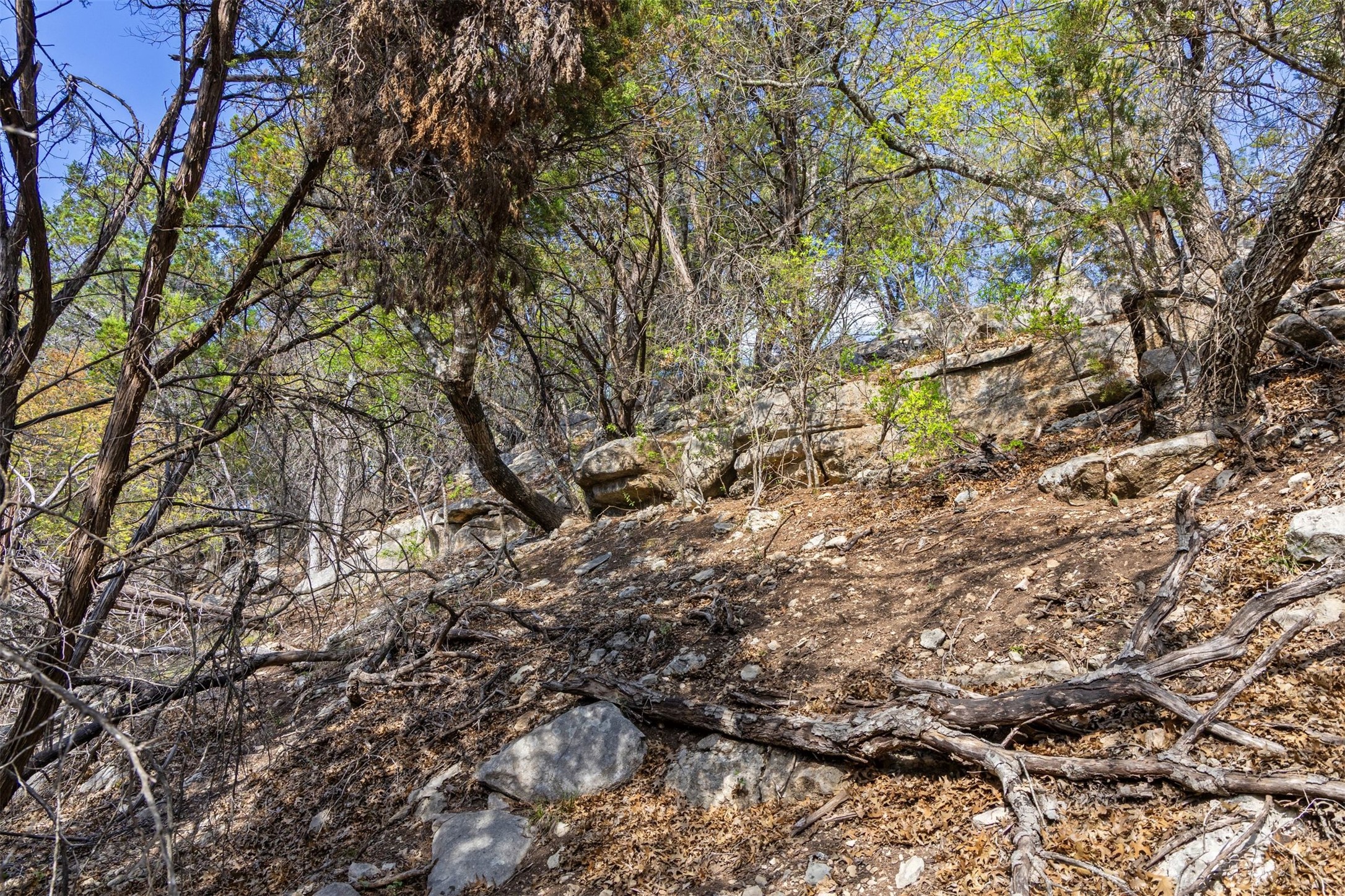 main property photo 14