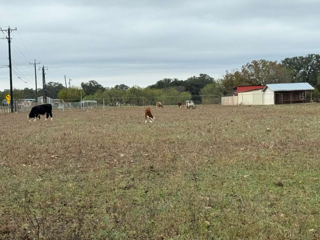 main property photo 34