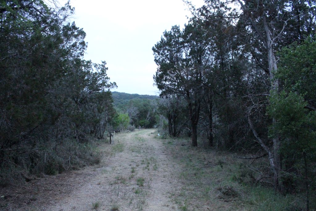main property photo 14