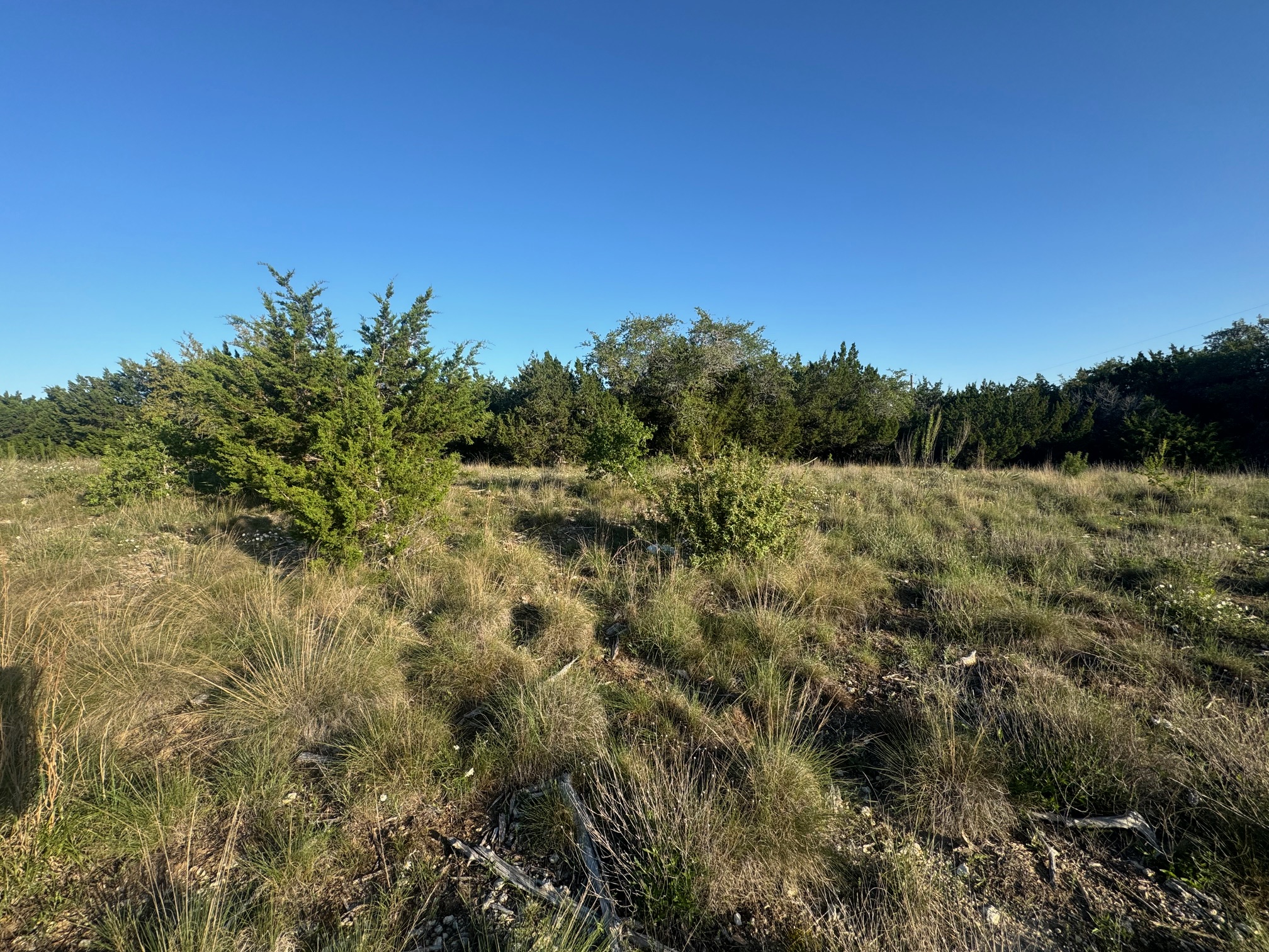main property photo 10