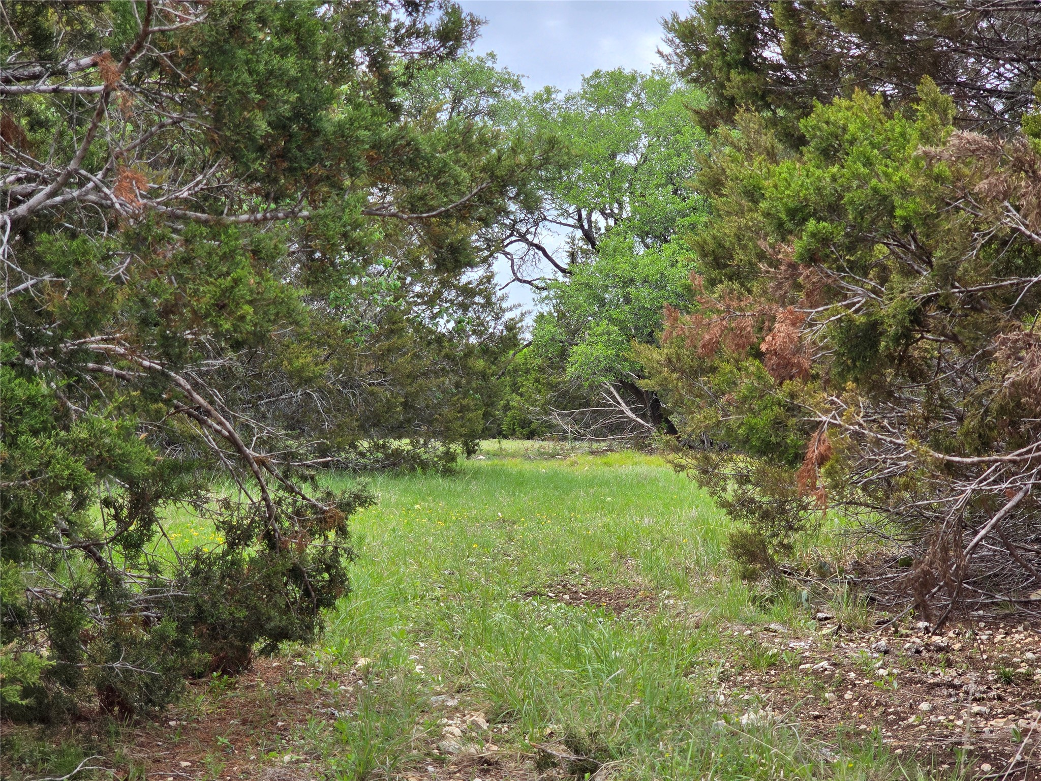 main property photo 11