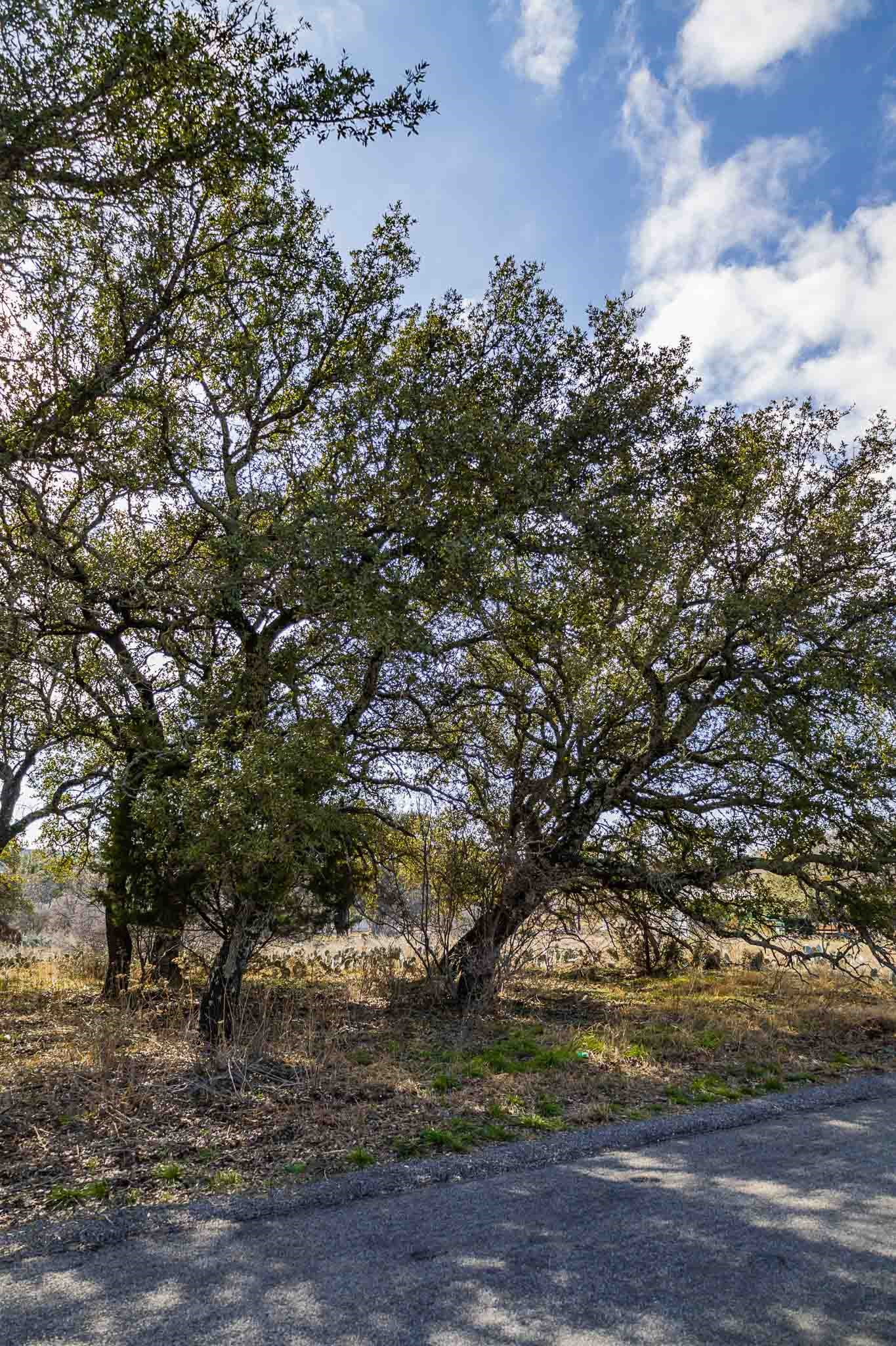 main property photo 19