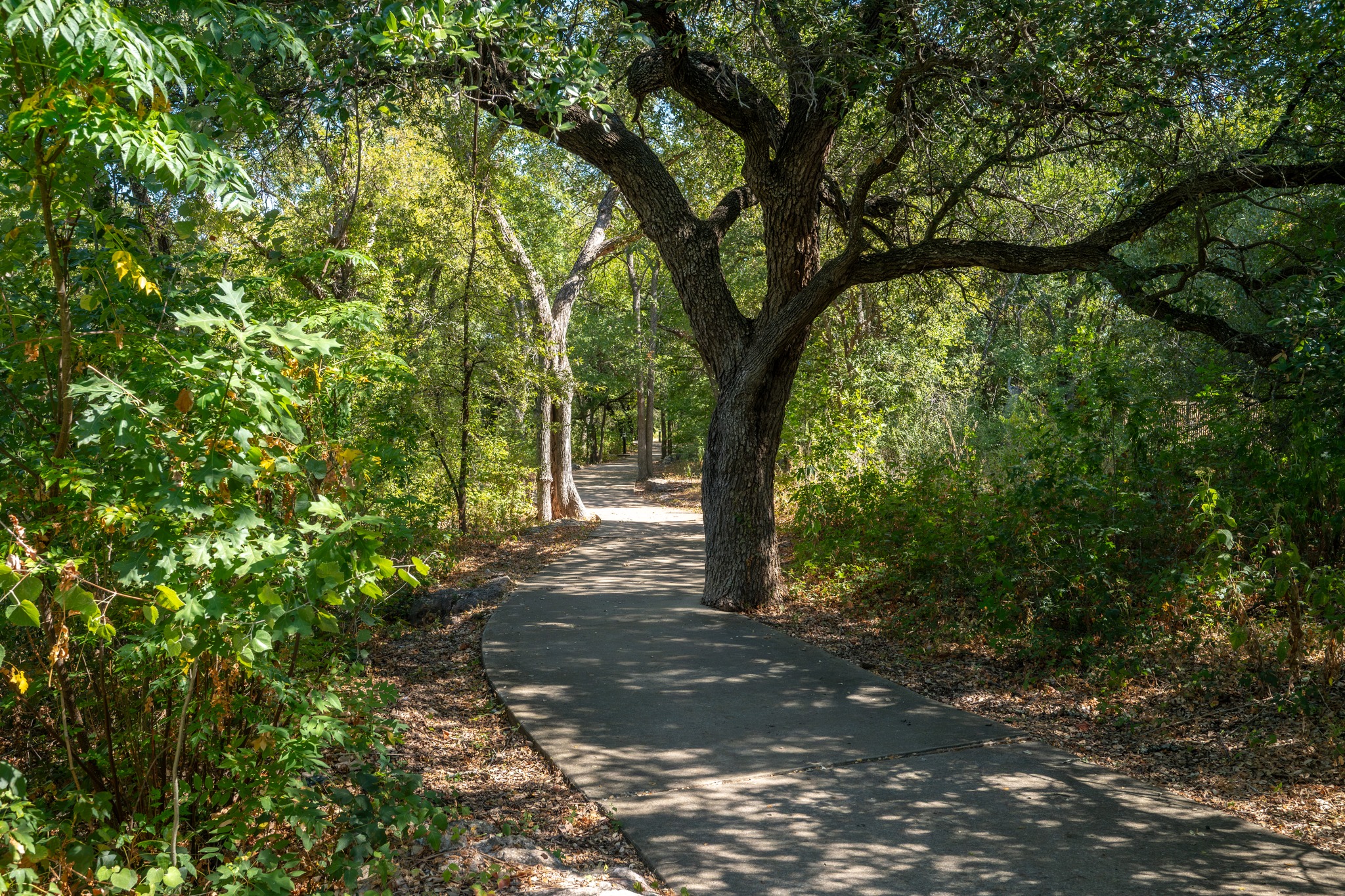 main property photo 36