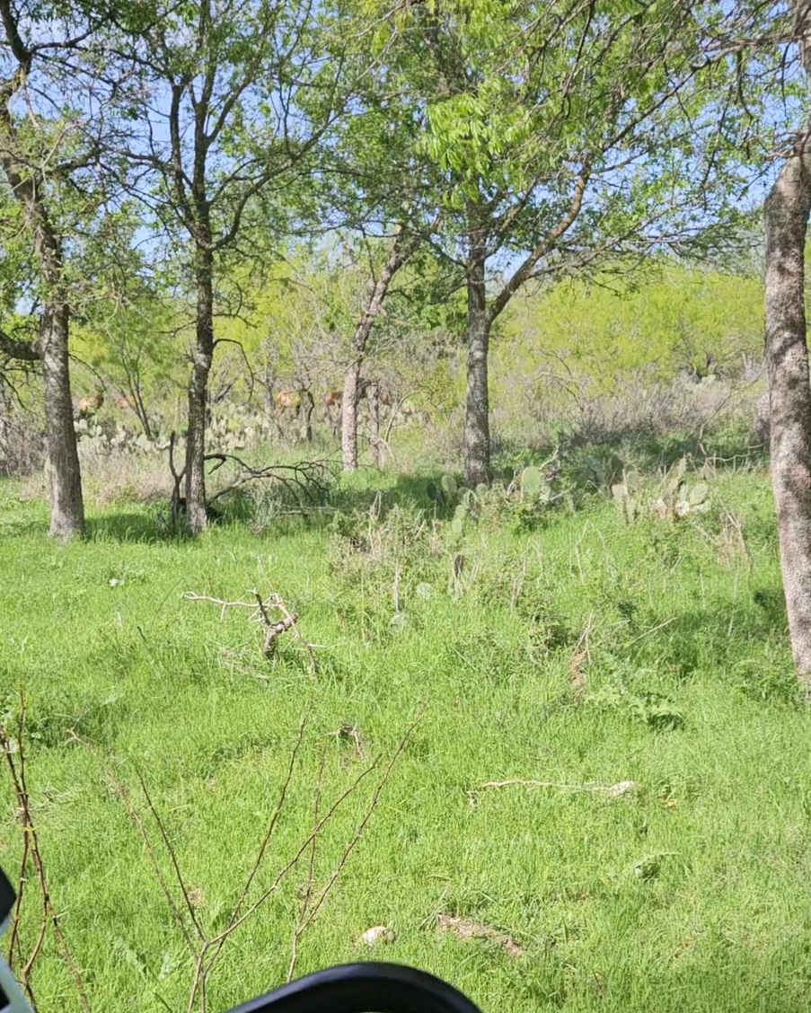 main property photo 6