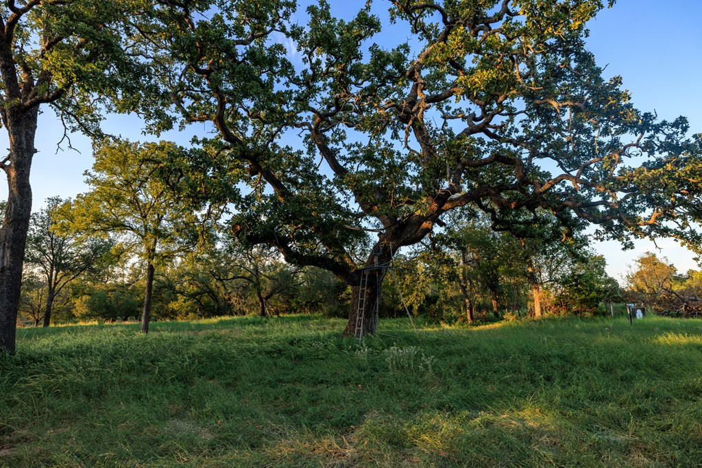 main property photo 37
