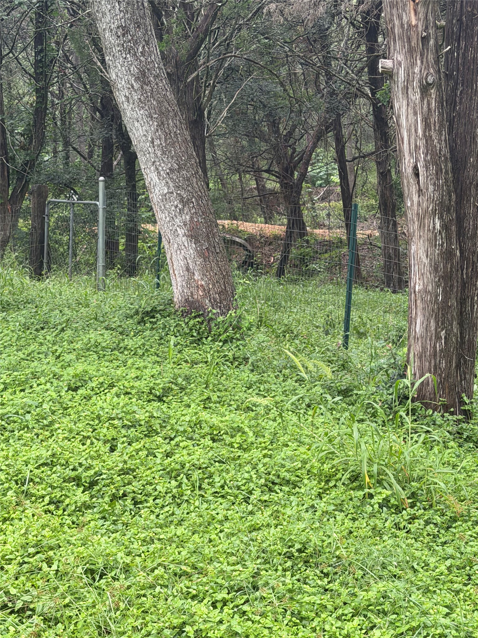 main property photo 15