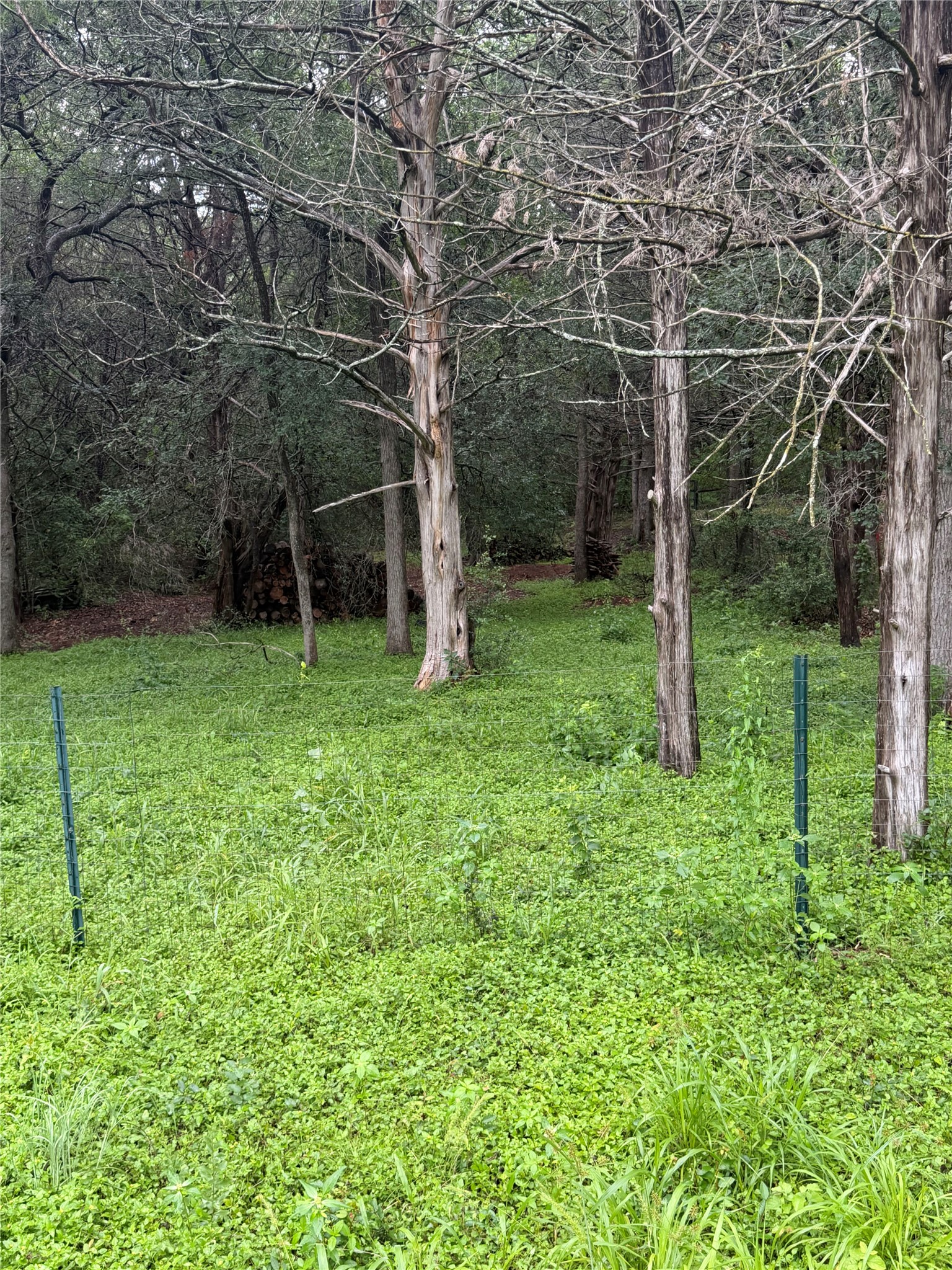 main property photo 17