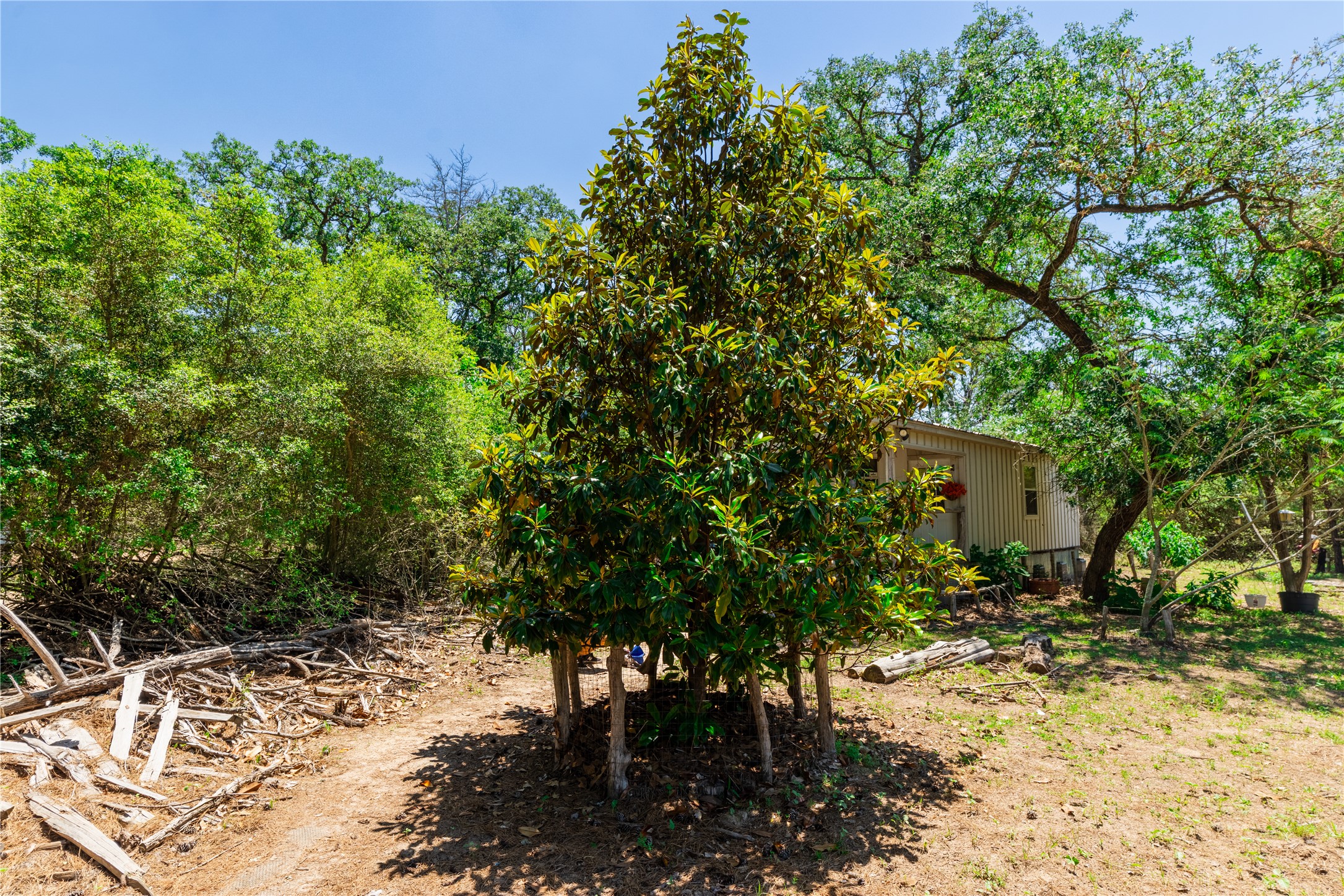 main property photo 16