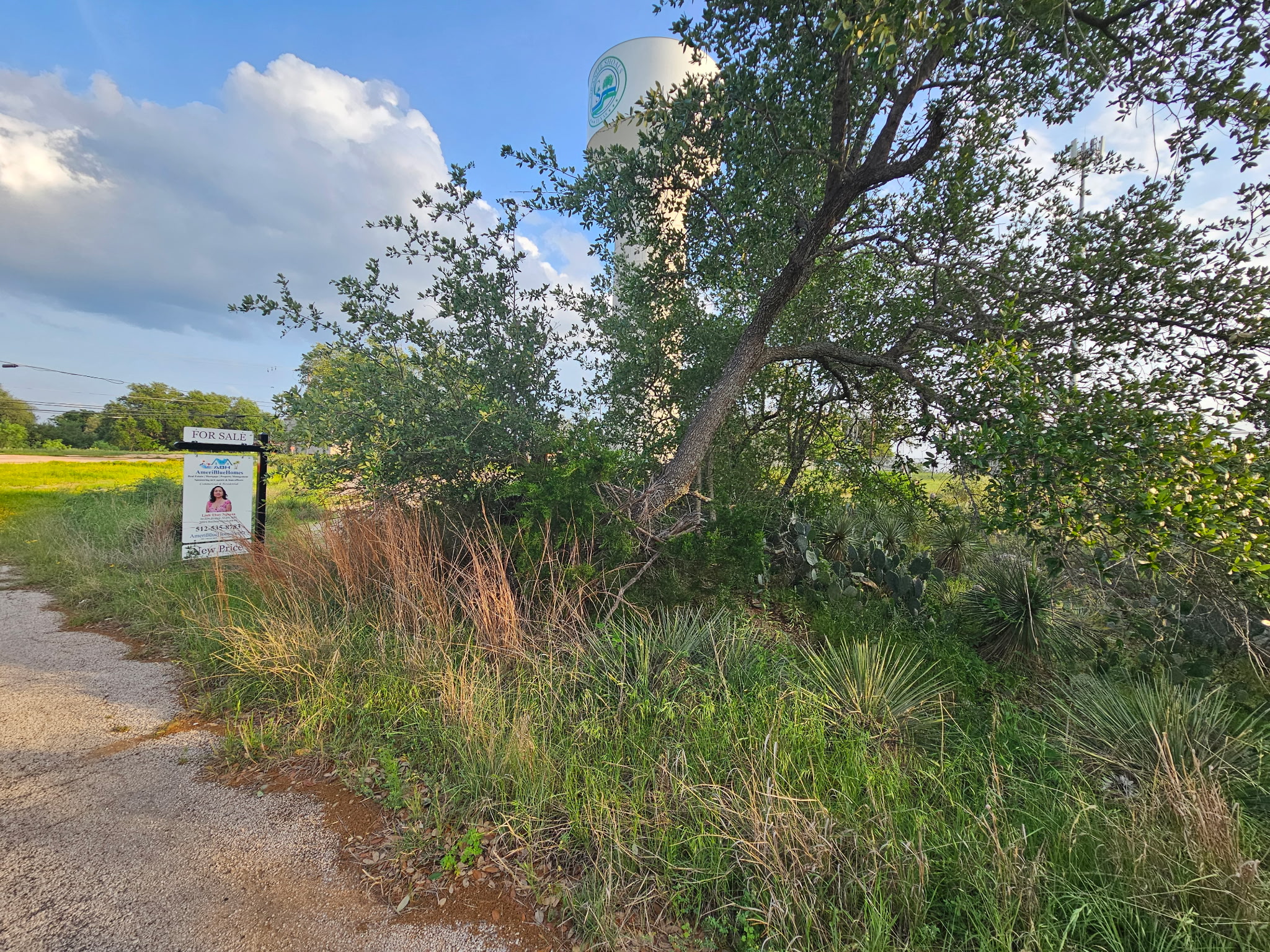 main property photo 7