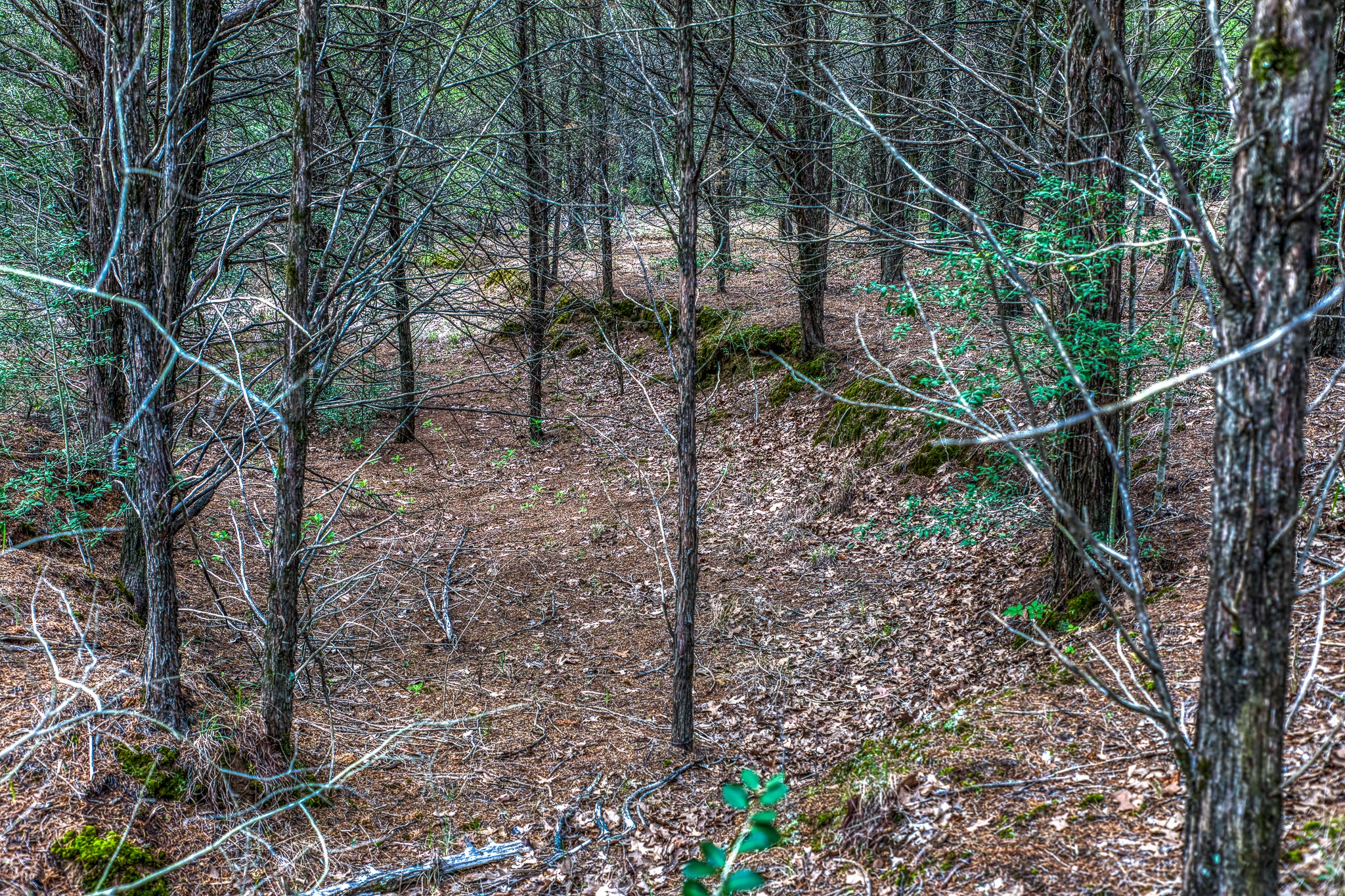 main property photo 24