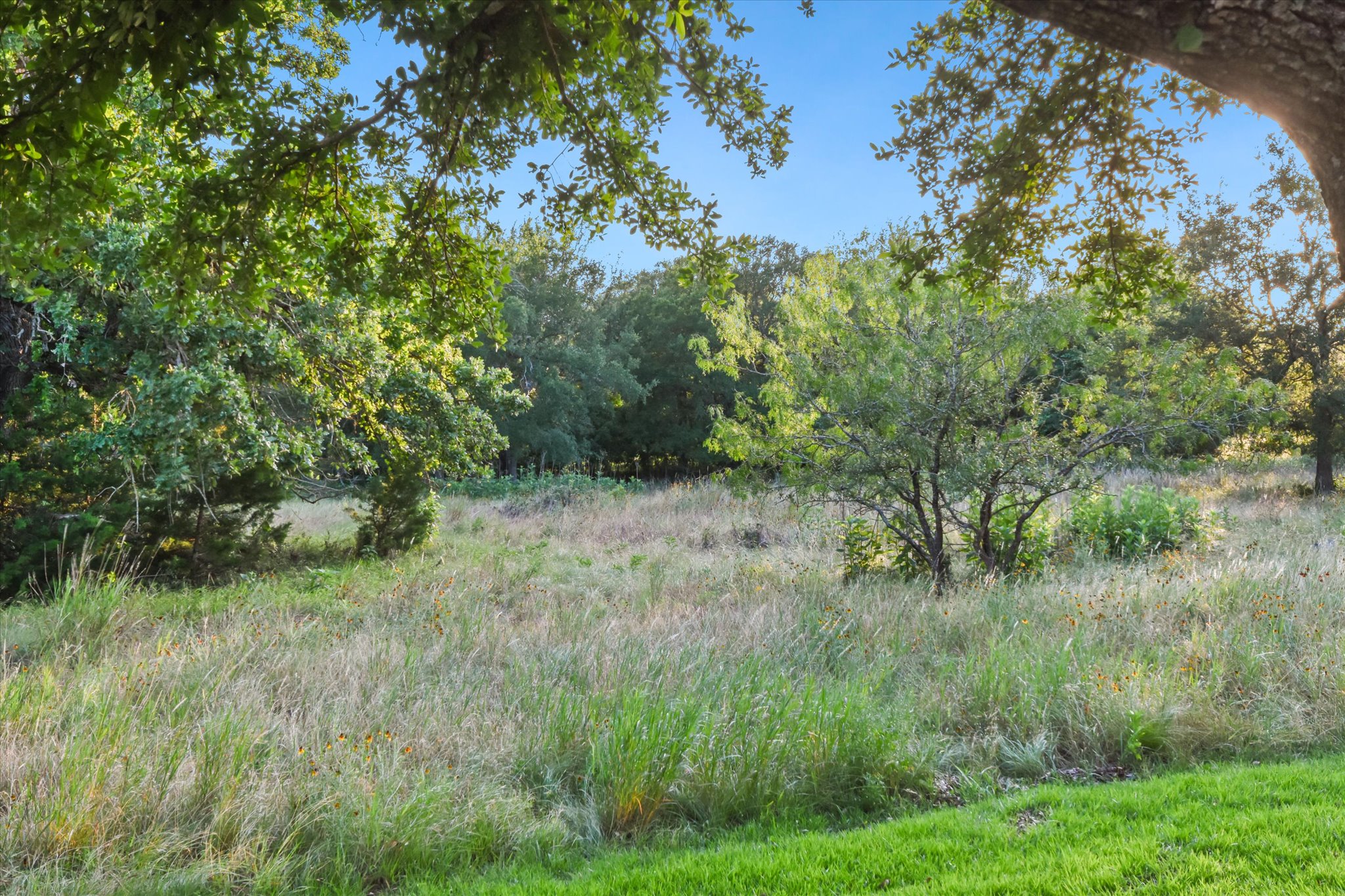 main property photo 26