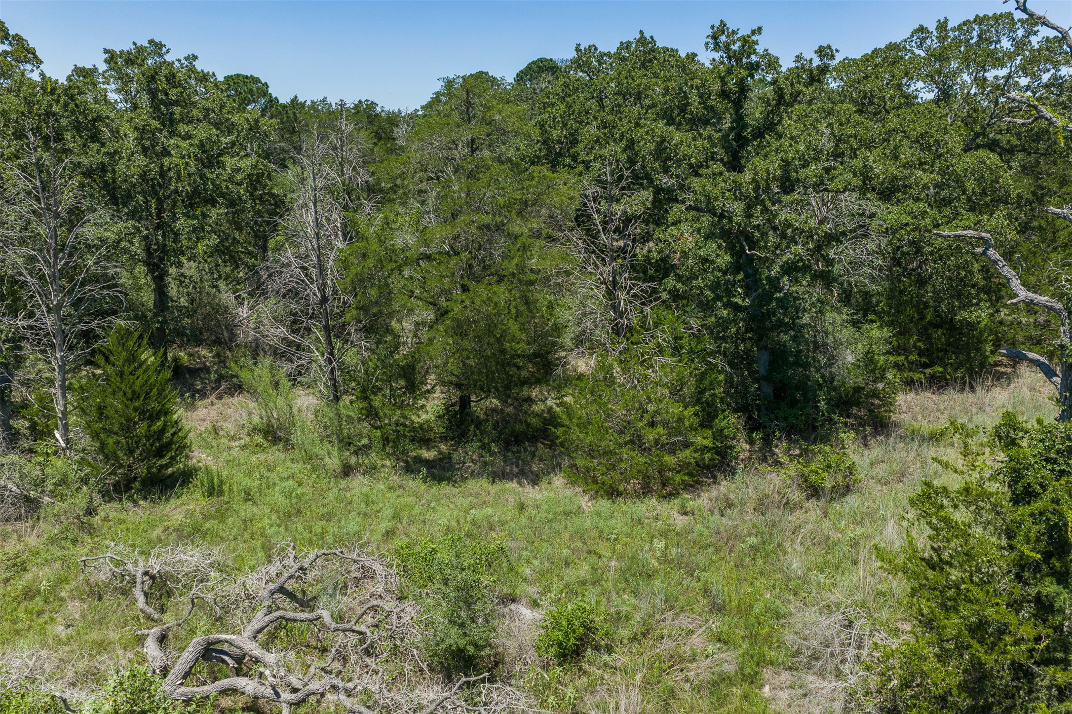 main property photo 10