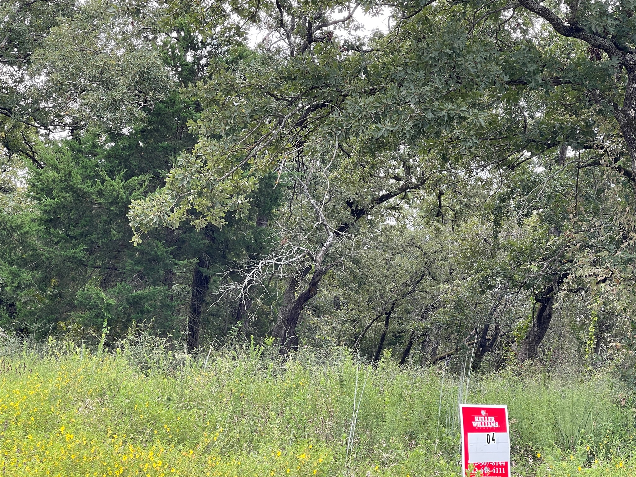 main property photo 13