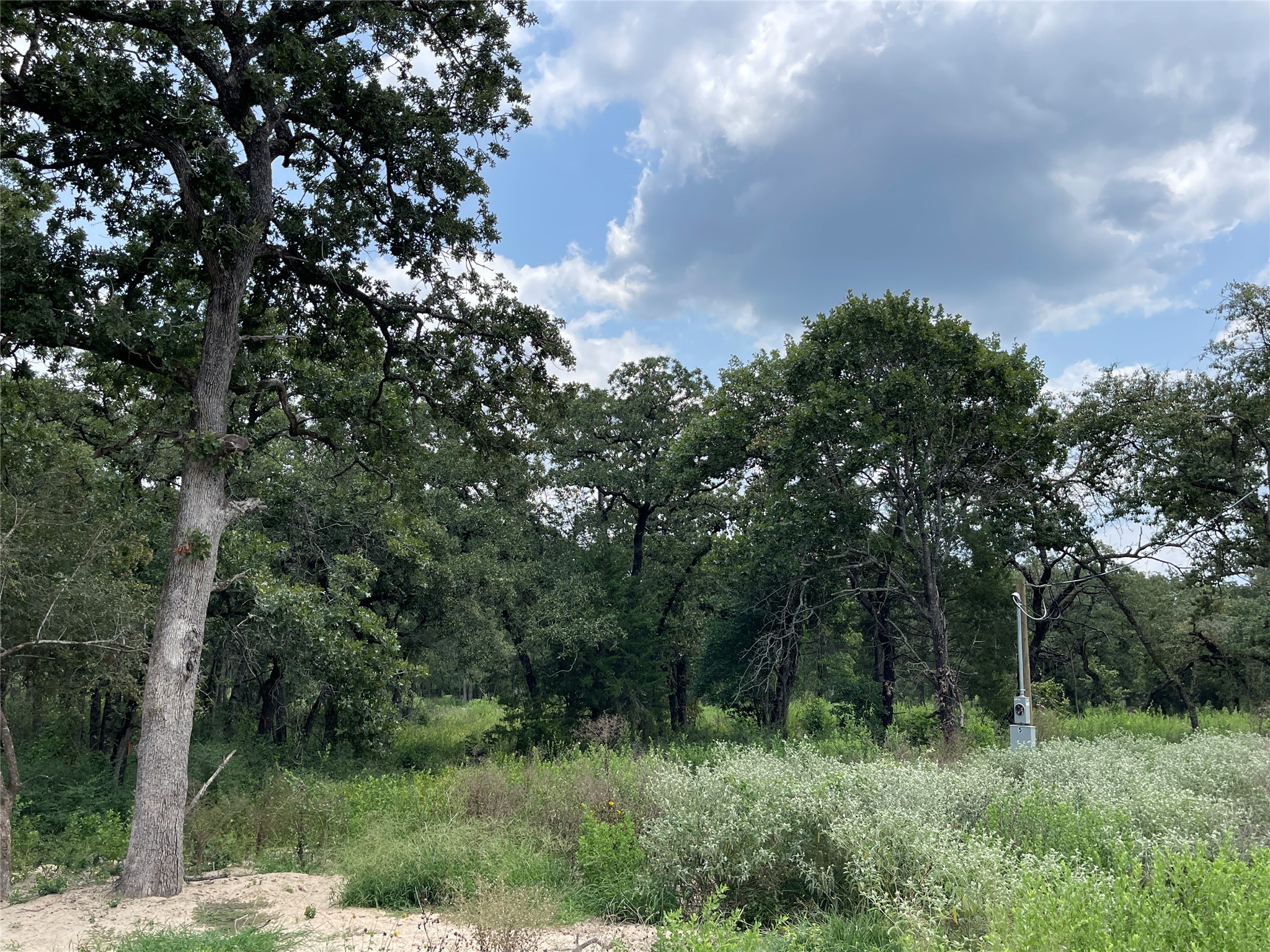 main property photo 19