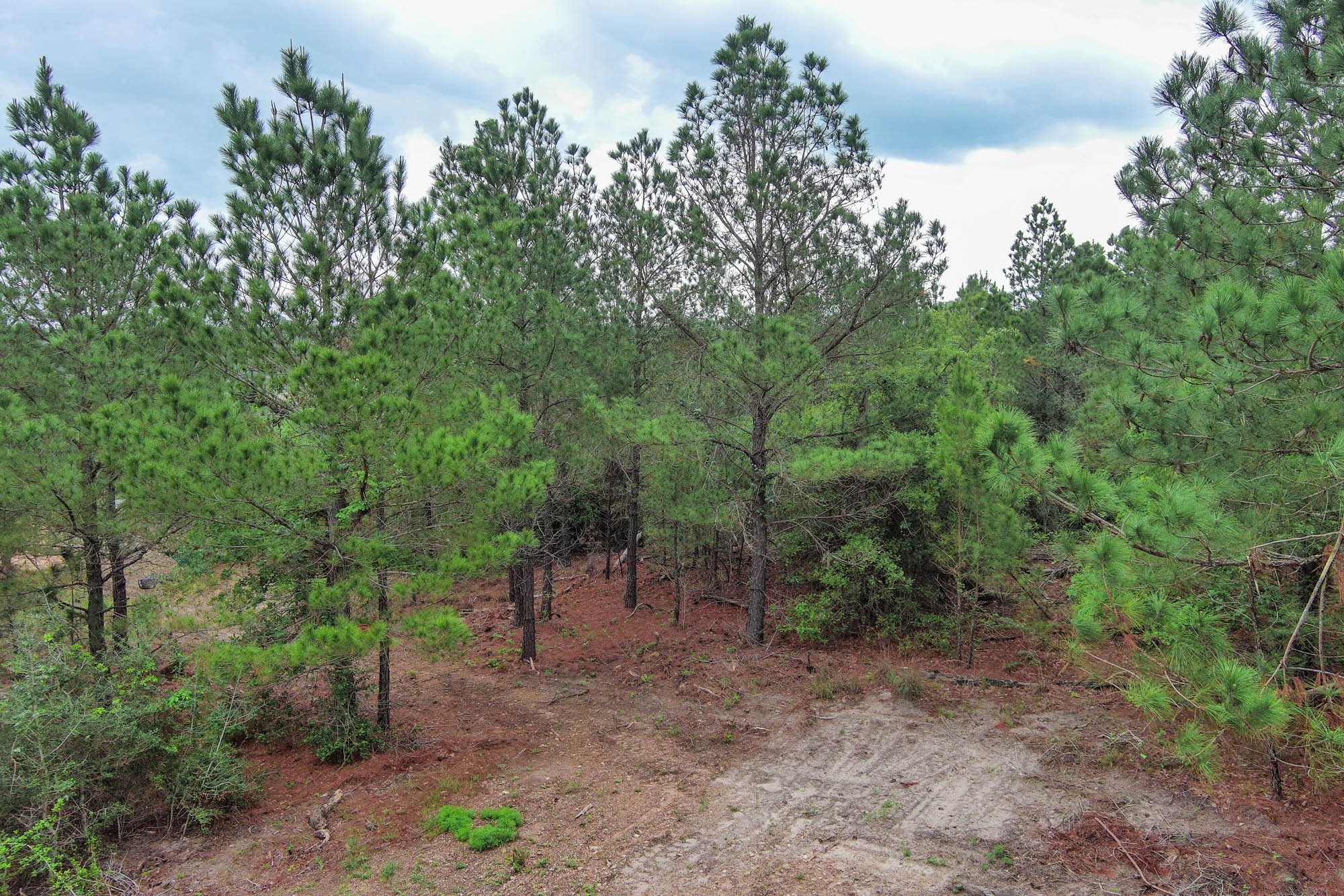 main property photo 14