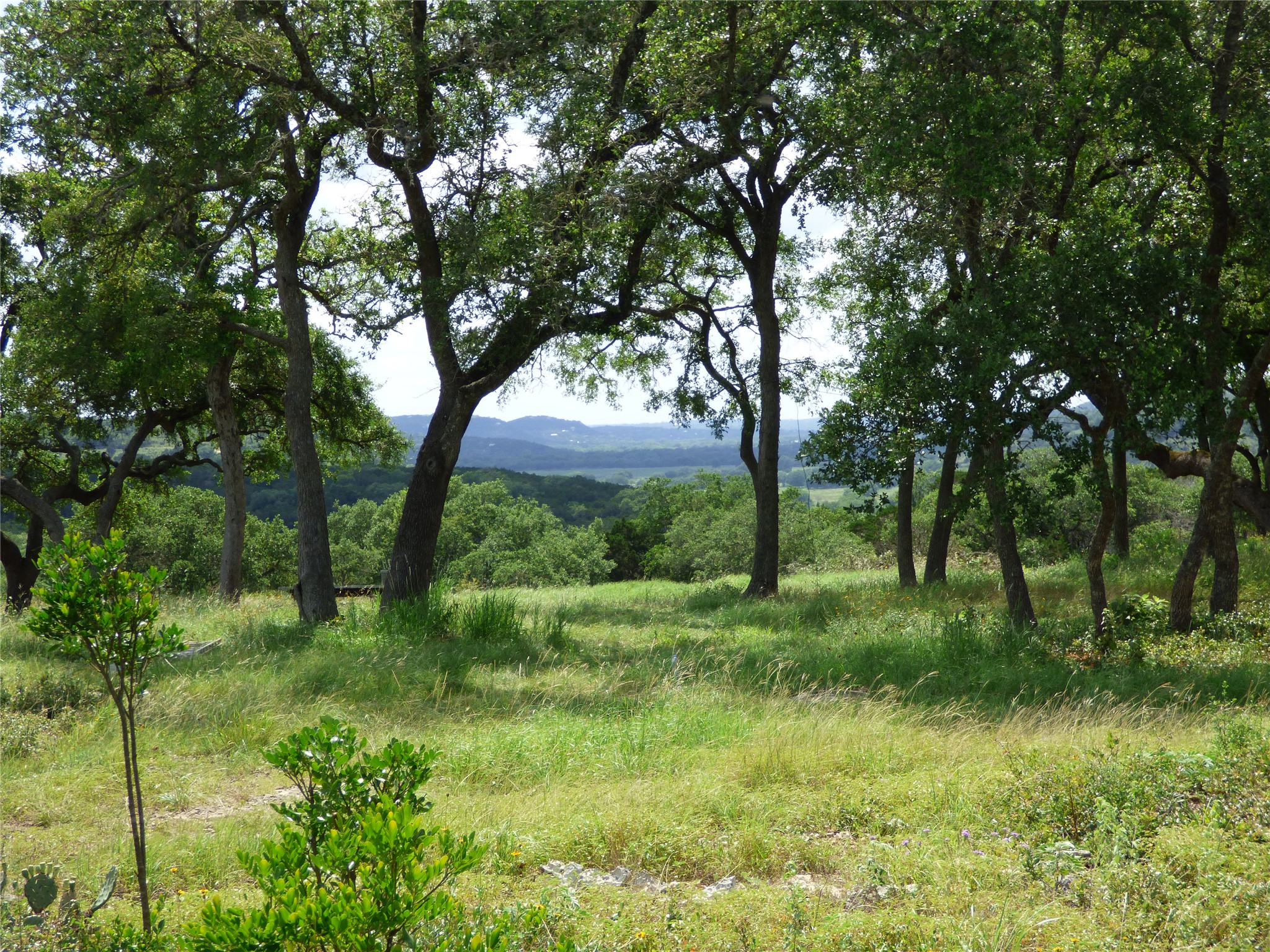 main property photo 6