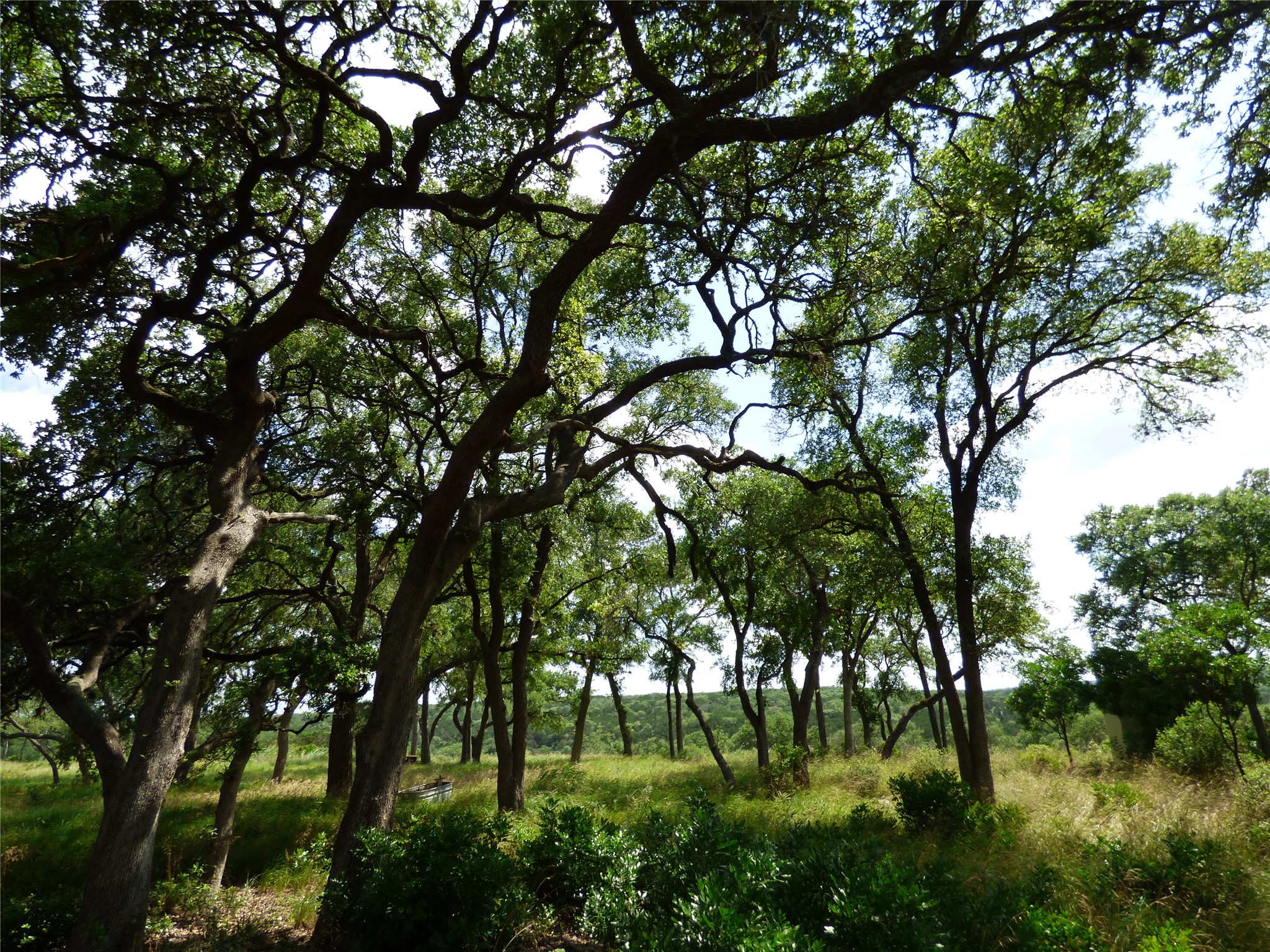 main property photo 9