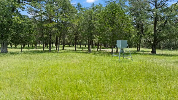 main property photo 38