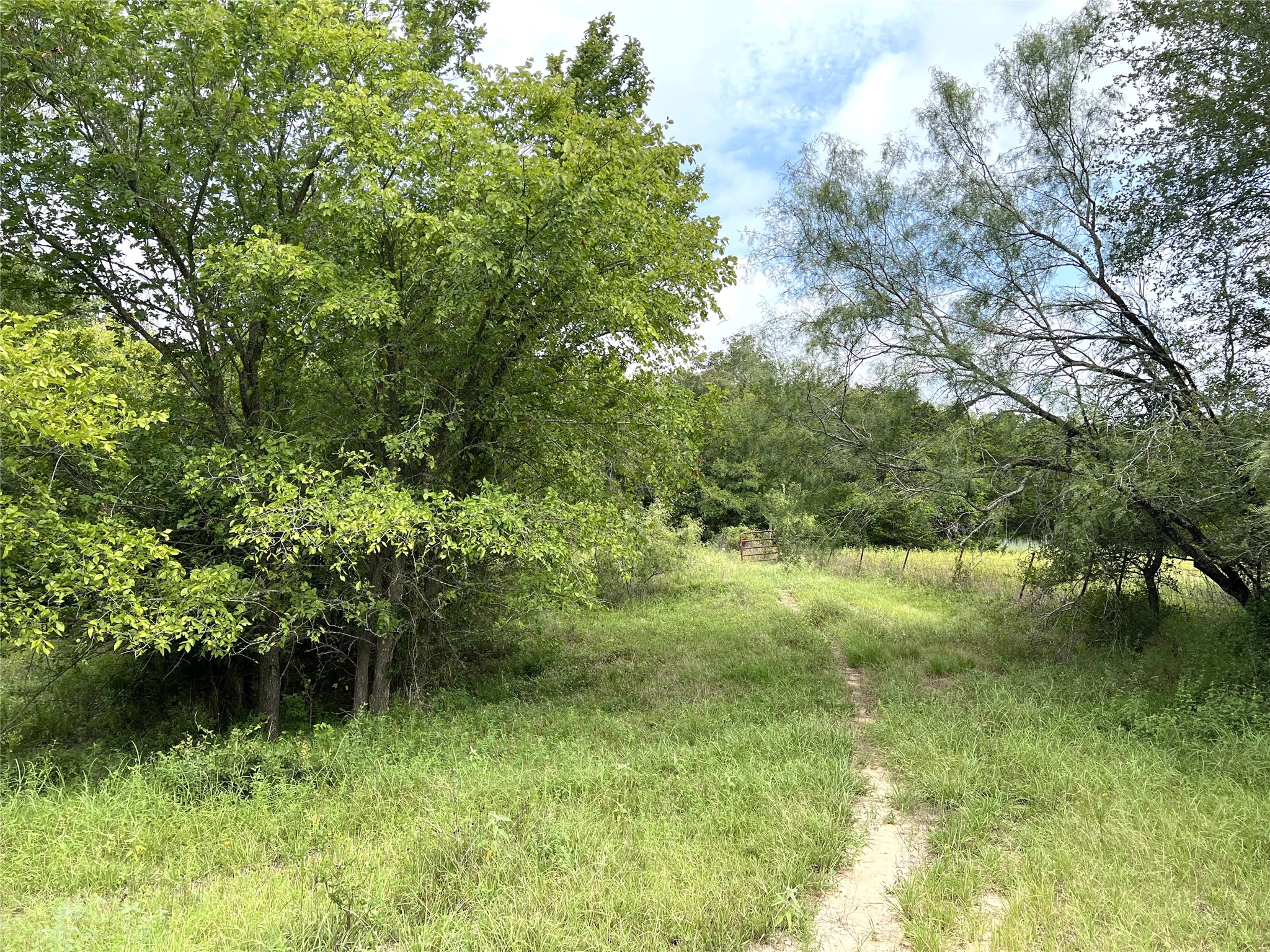main property photo 39