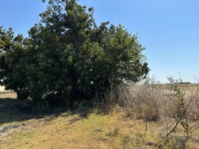 main property photo 6