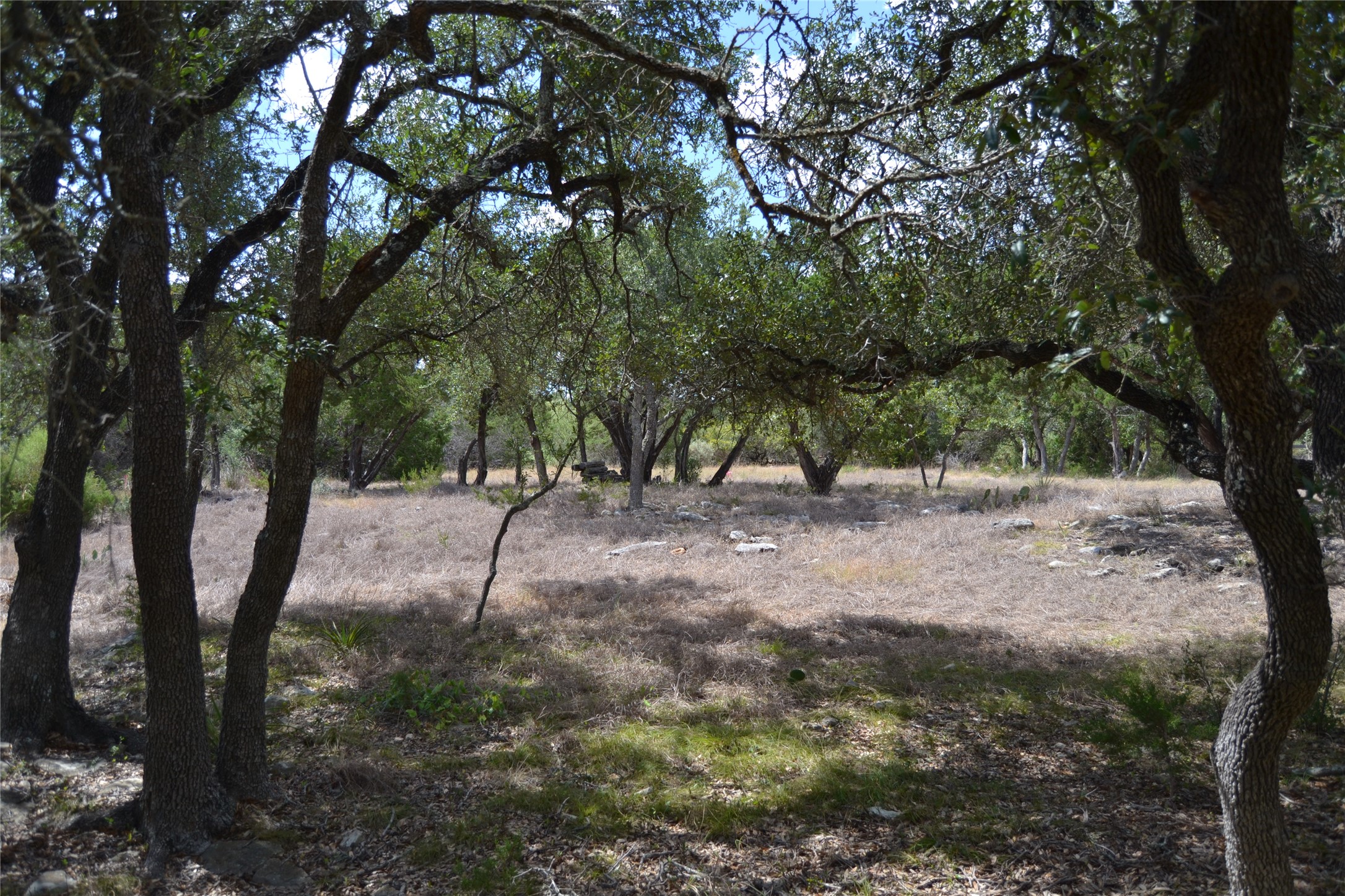 main property photo 6