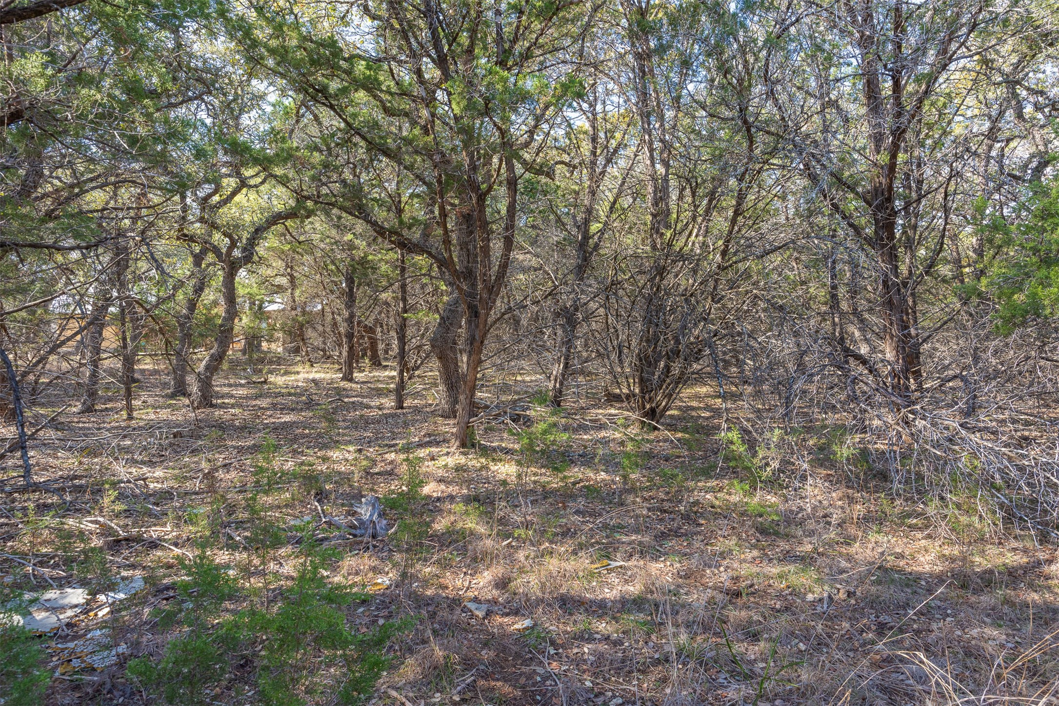main property photo 10